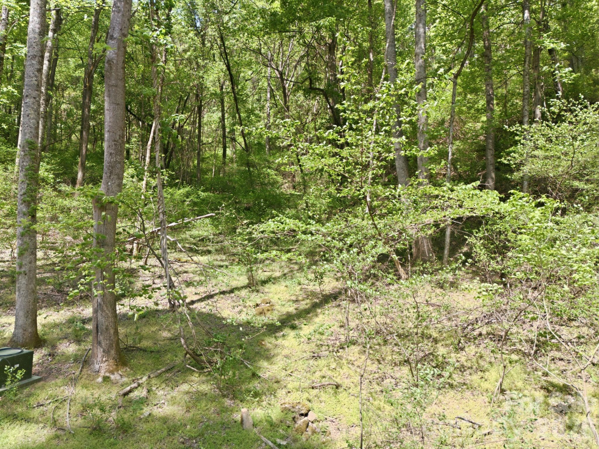 122 Running Deer Lane - Photo 23