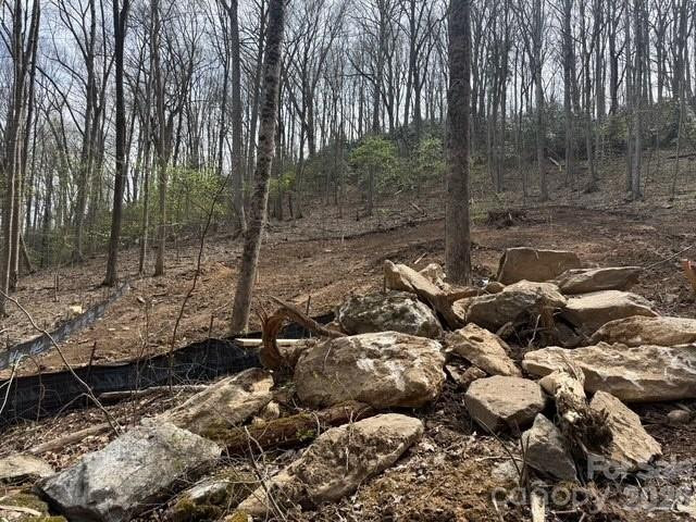 122 Running Deer Lane - Photo 6