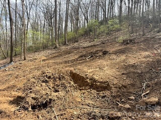 122 Running Deer Lane - Photo 8