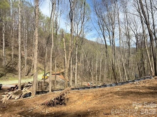 122 Running Deer Lane - Photo 9