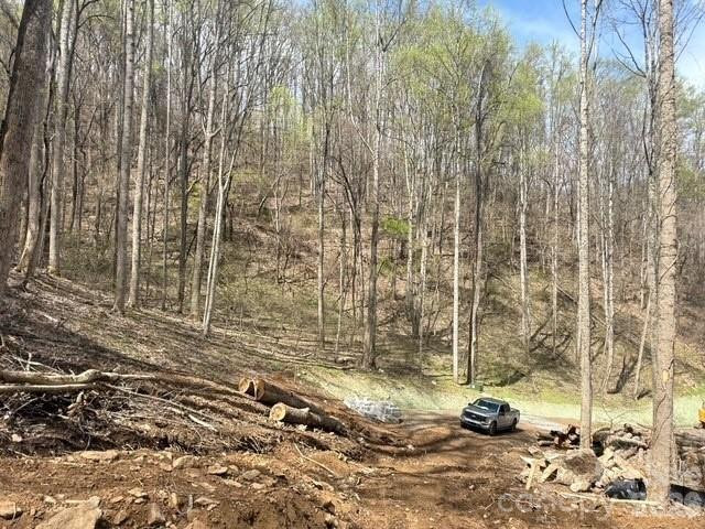 122 Running Deer Lane - Photo 10