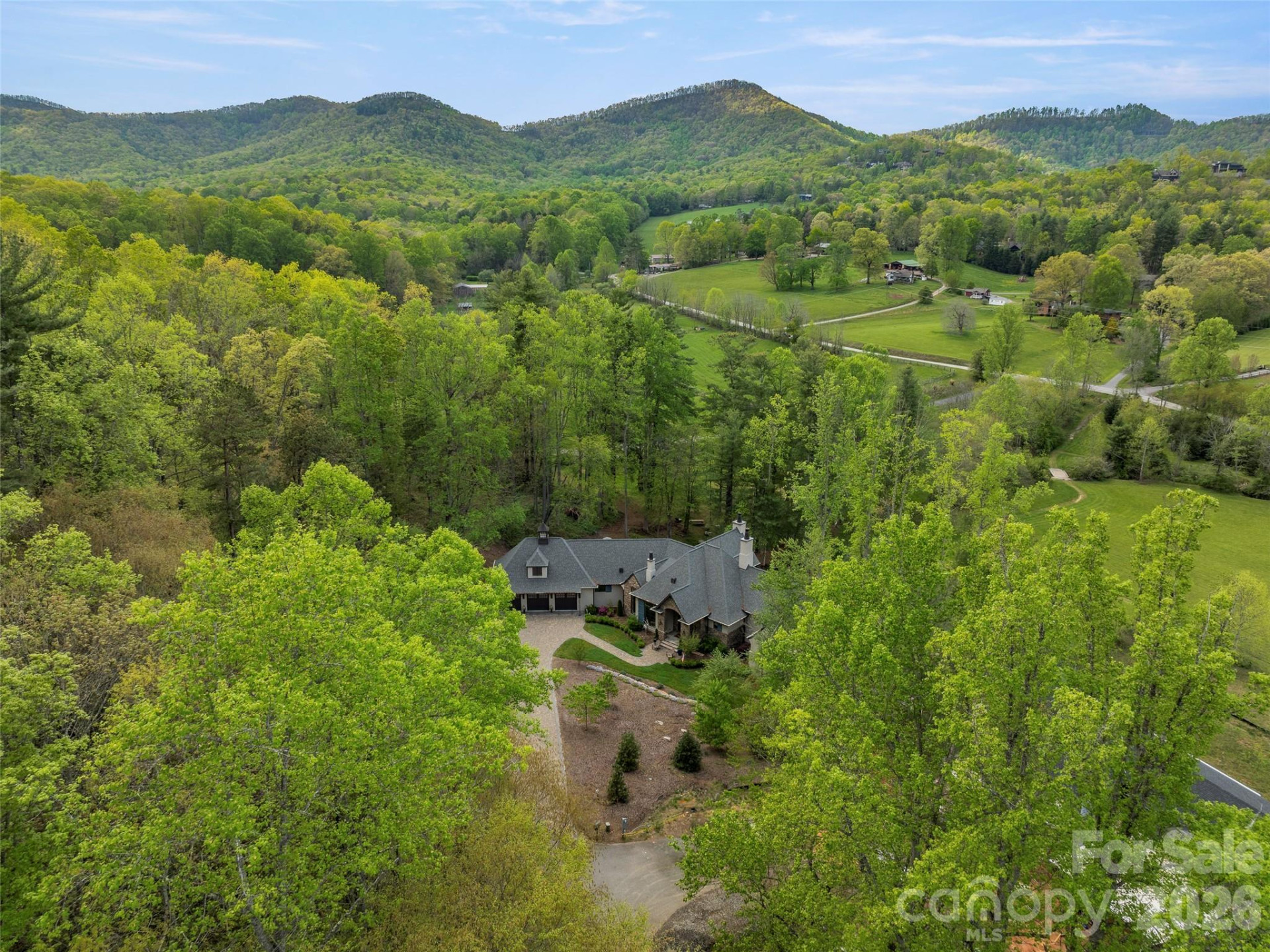 41 Bear Flower Trail - Photo 42