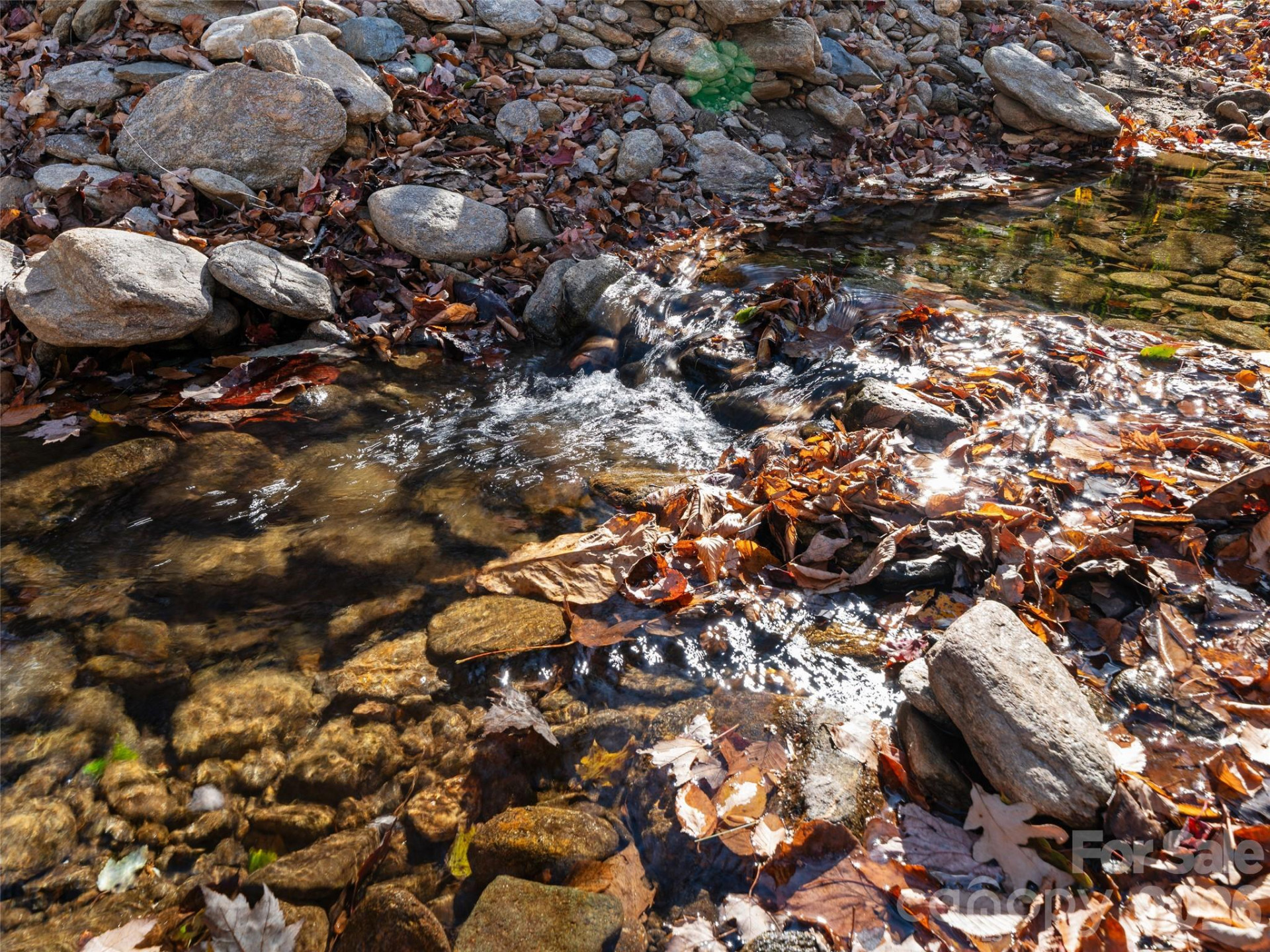 219 Raven Rock Lane - Photo 6