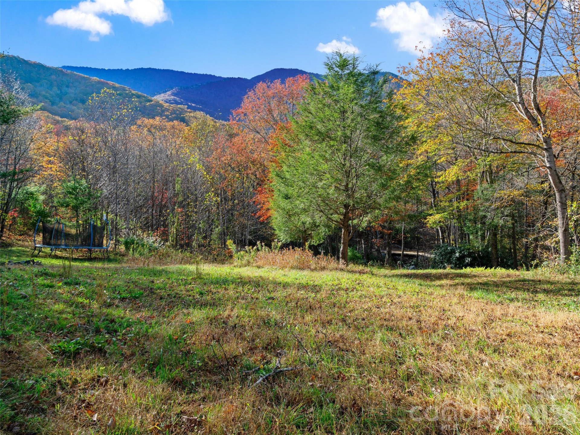 219 Raven Rock Lane - Photo 7