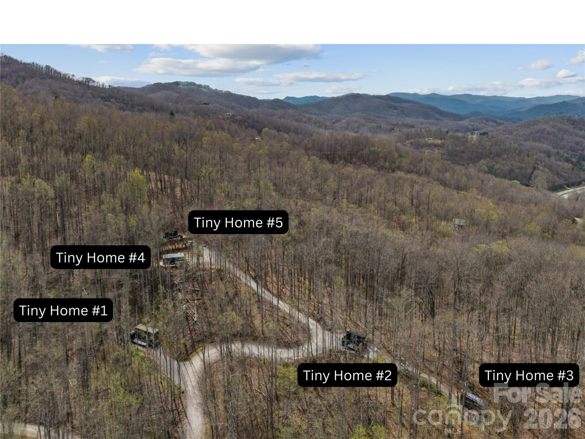 198 Quiet Forest Lane - Photo 6