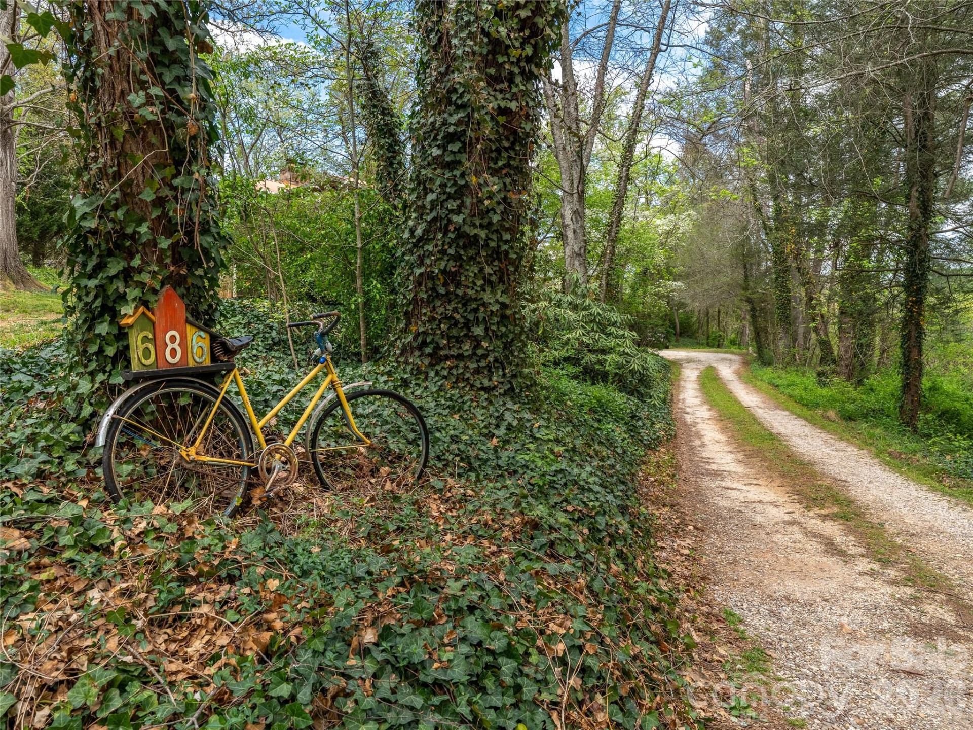 686 New Haw Creek Road - Photo 47