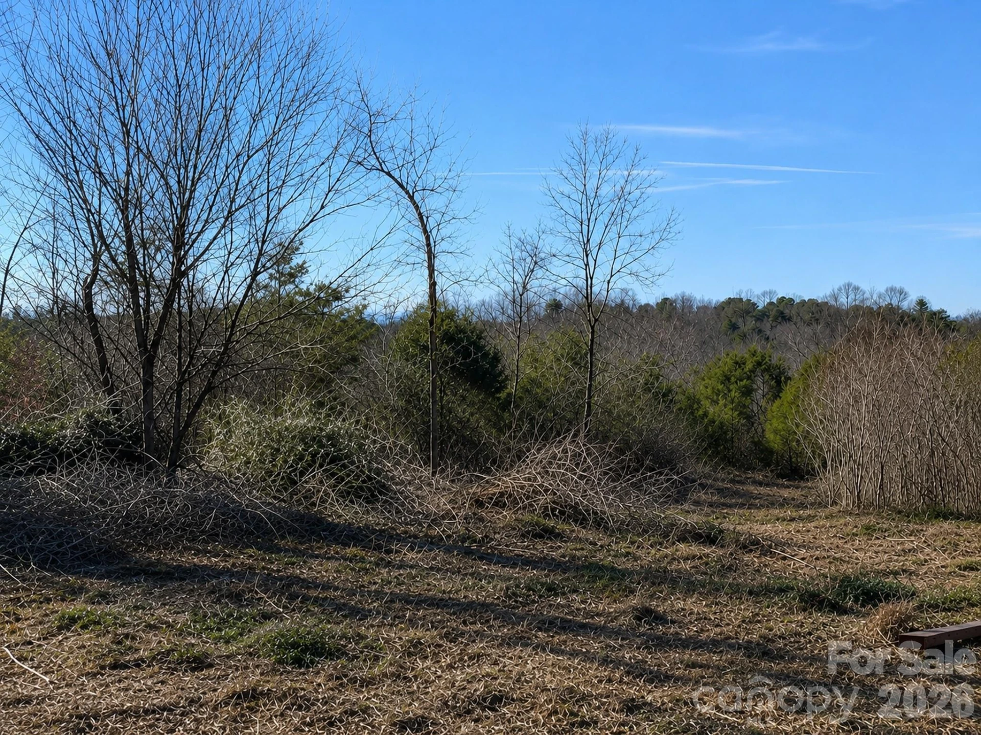 1981 Jamestown Road - Photo 4