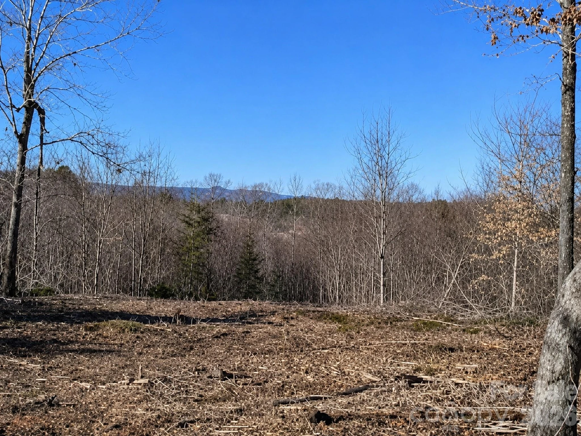 1981 Jamestown Road - Photo 5