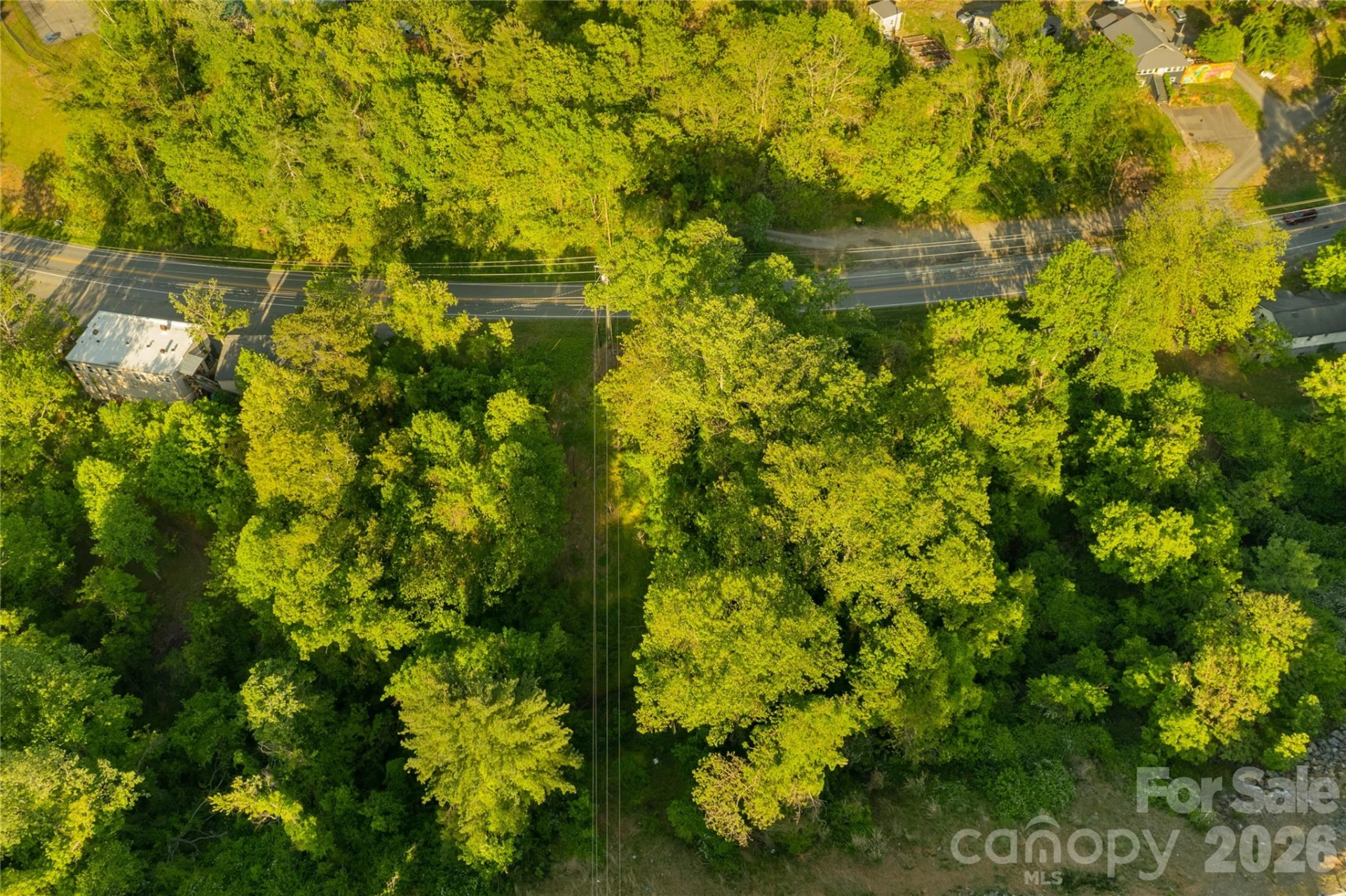 438 Weaverville Road - Photo 11