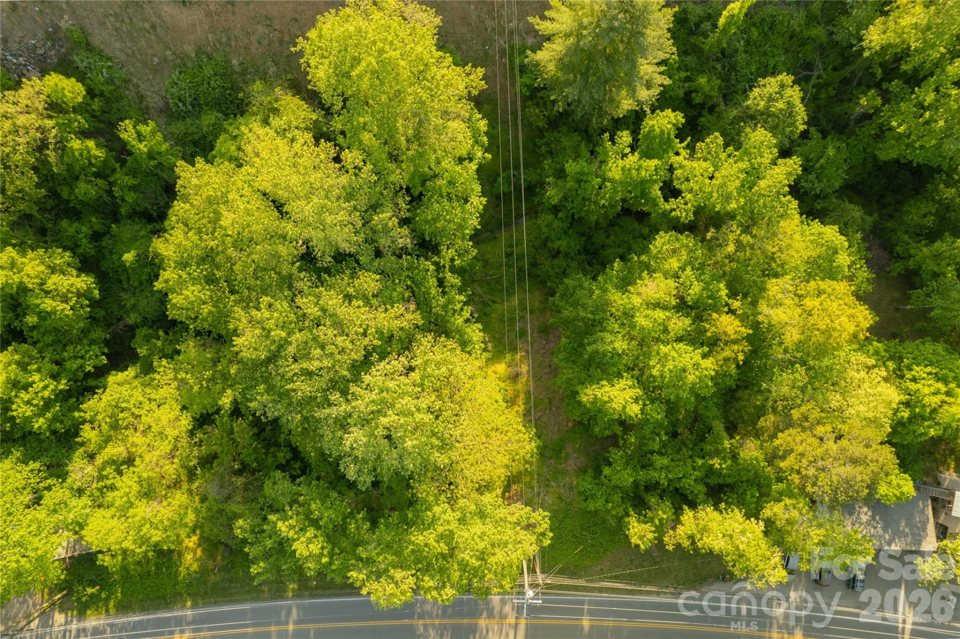 438 Weaverville Road - Photo 7