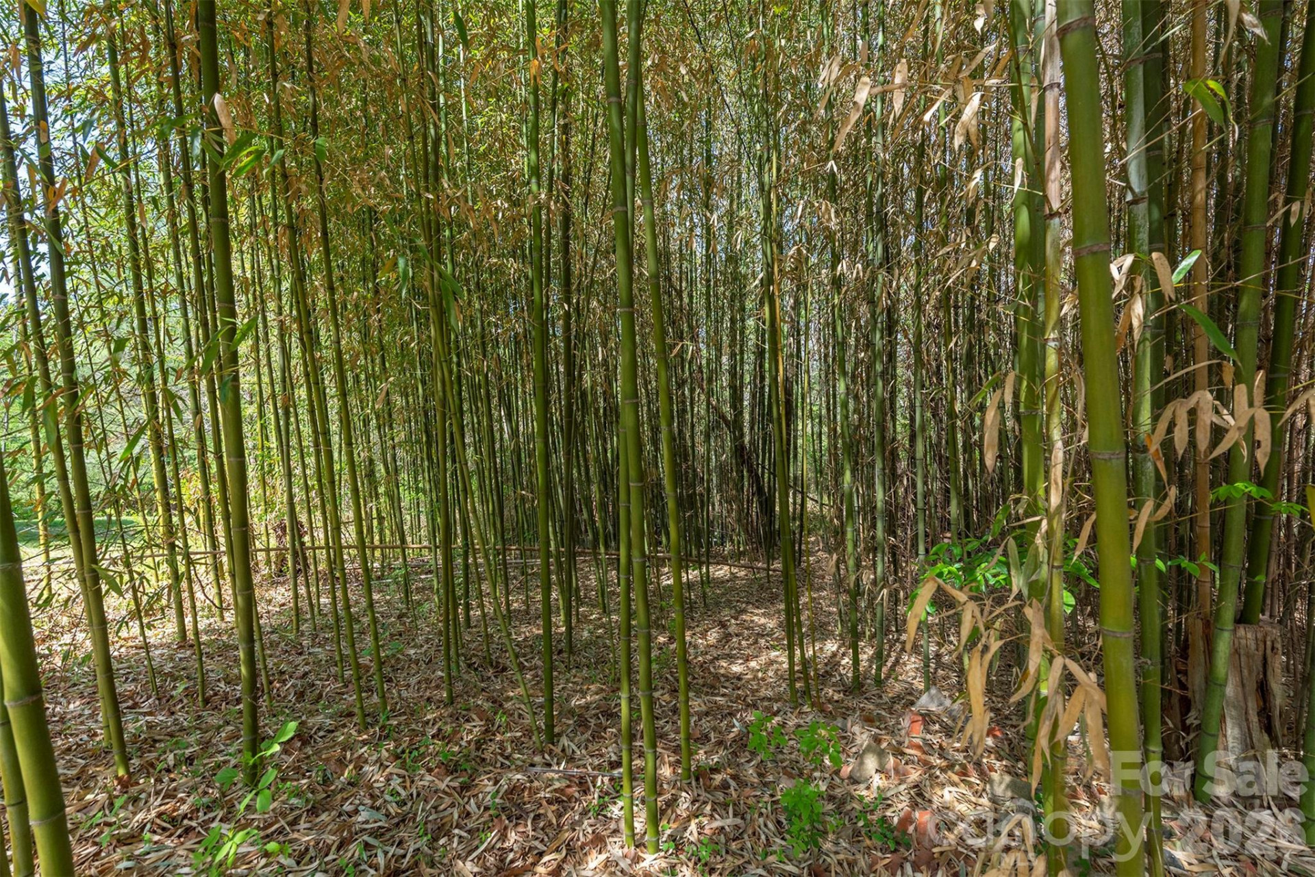 85 Cody Embler Road - Photo 23