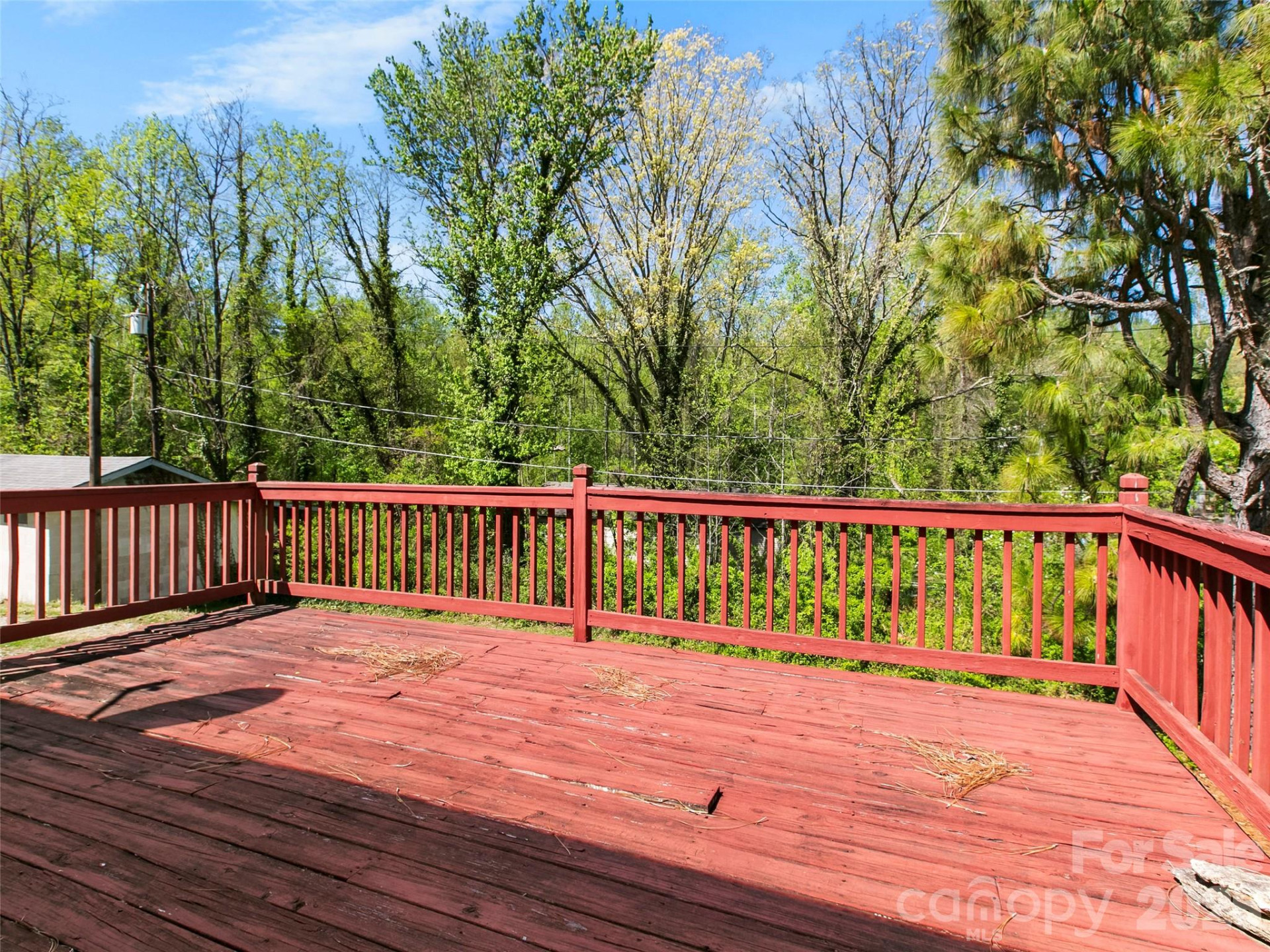 203 Dundee Street - Photo 7