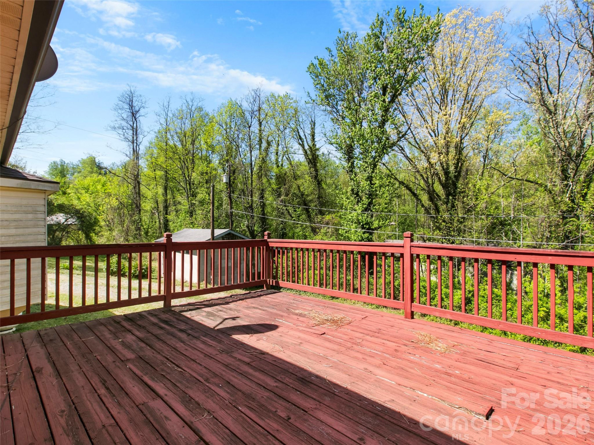 203 Dundee Street - Photo 8