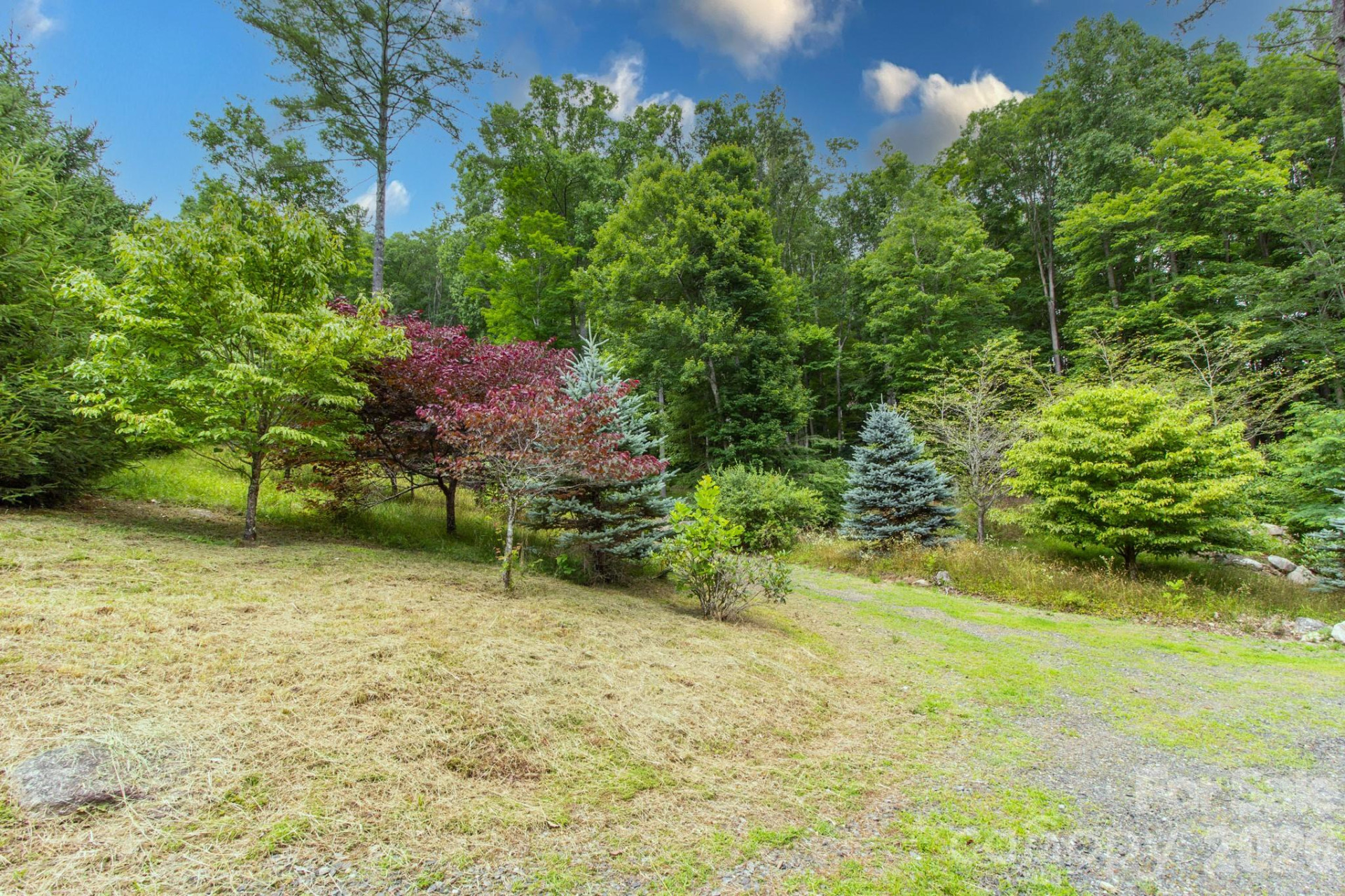 2811 Poplar Creek Road - Photo 34