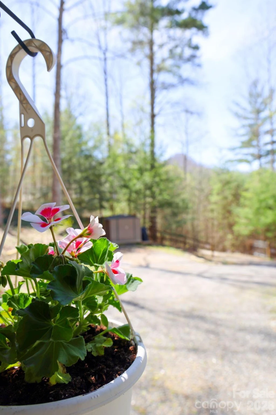307 Dancing Leaf Lane - Photo 19