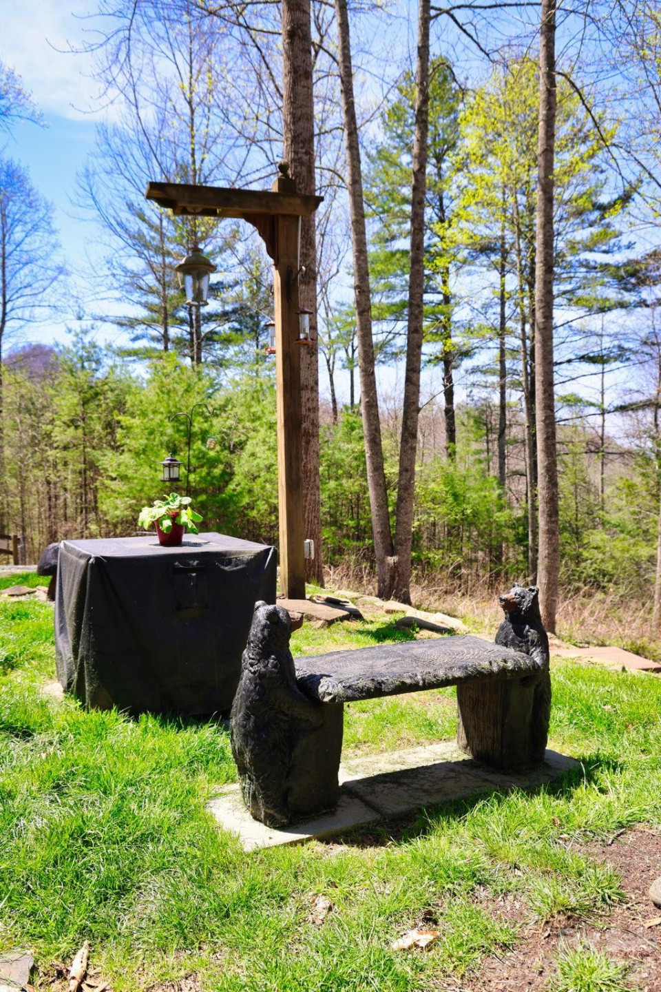 307 Dancing Leaf Lane - Photo 21