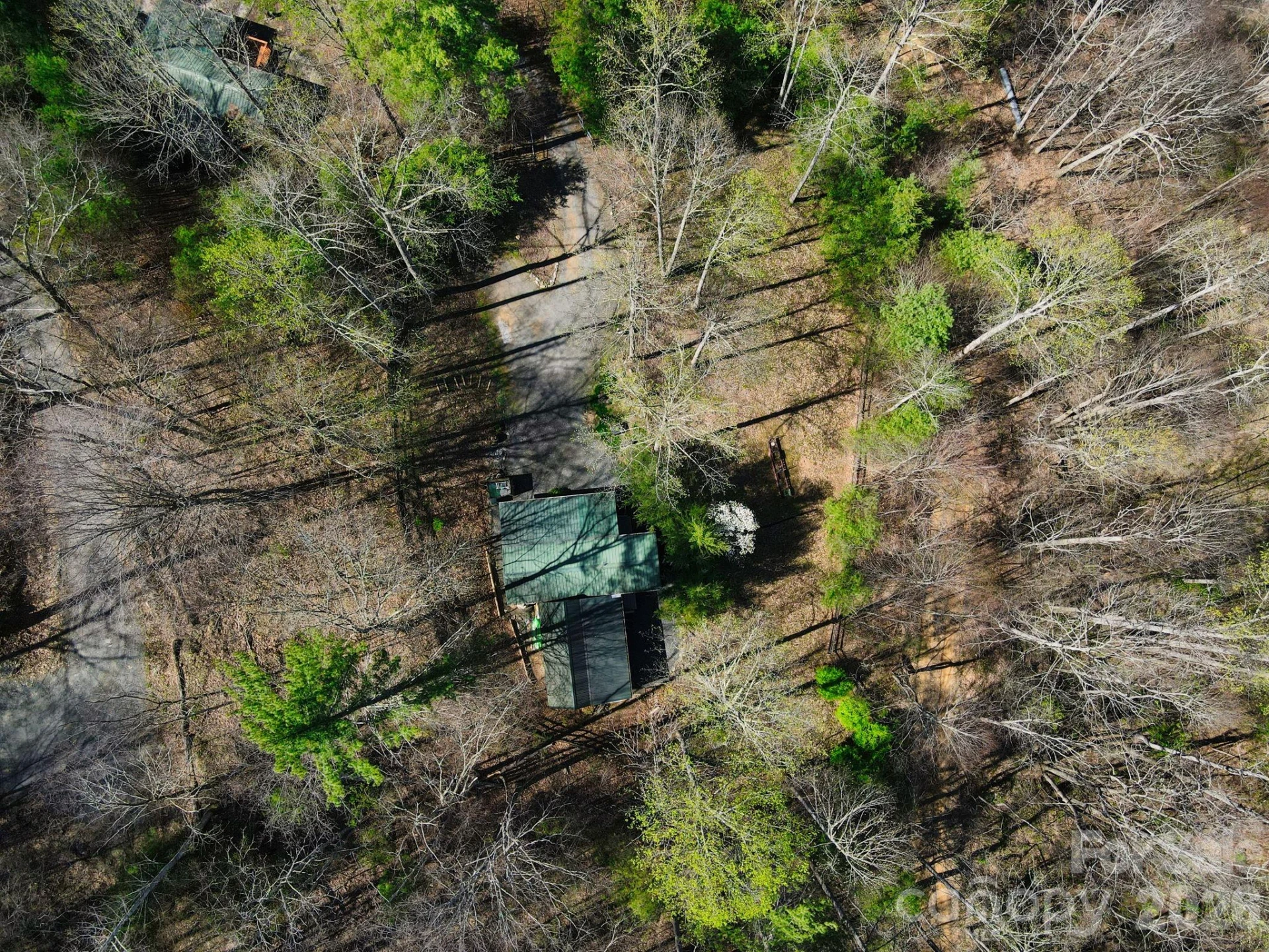 307 Dancing Leaf Lane - Photo 24