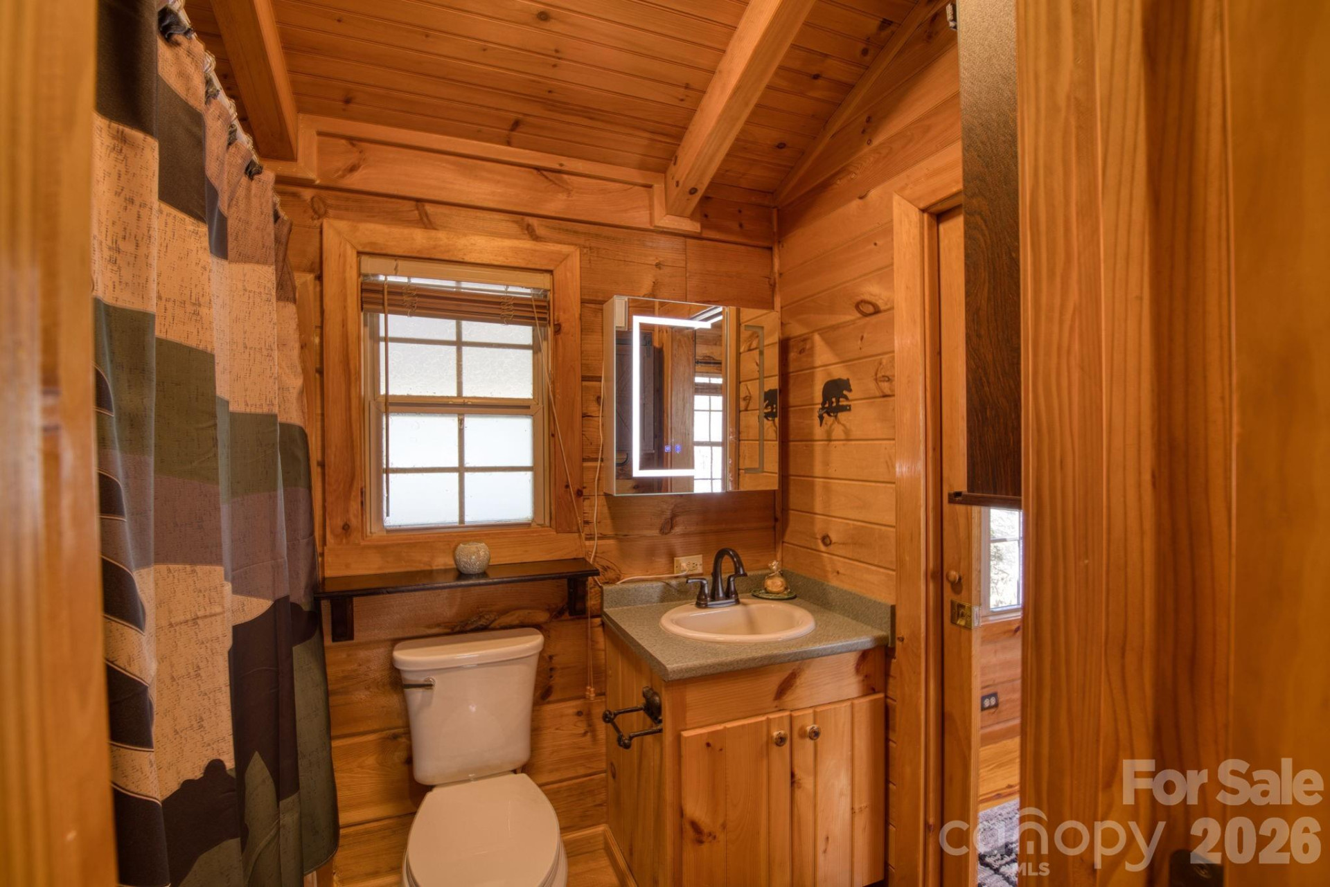 307 Dancing Leaf Lane - Photo 8