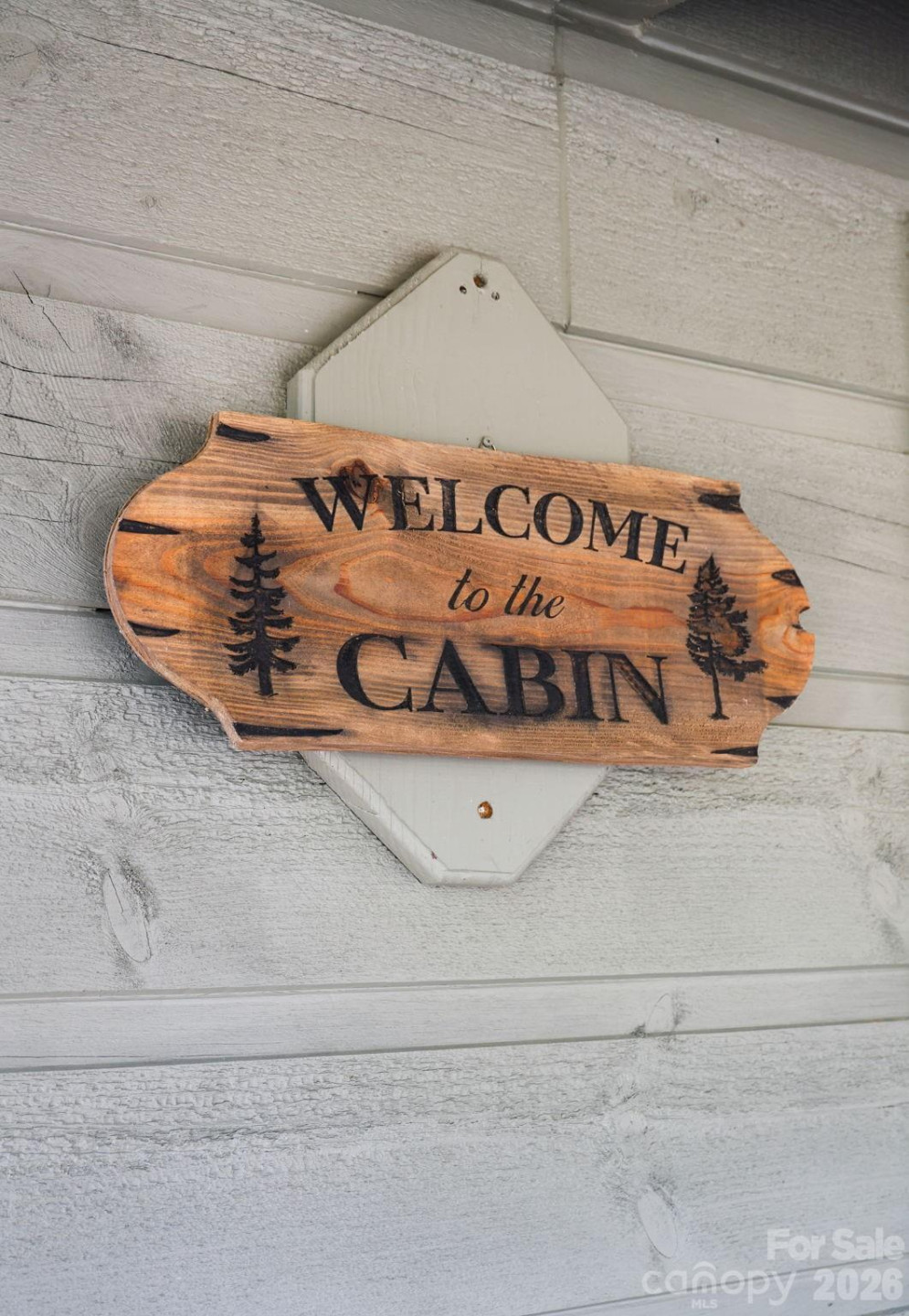 307 Dancing Leaf Lane - Photo 10