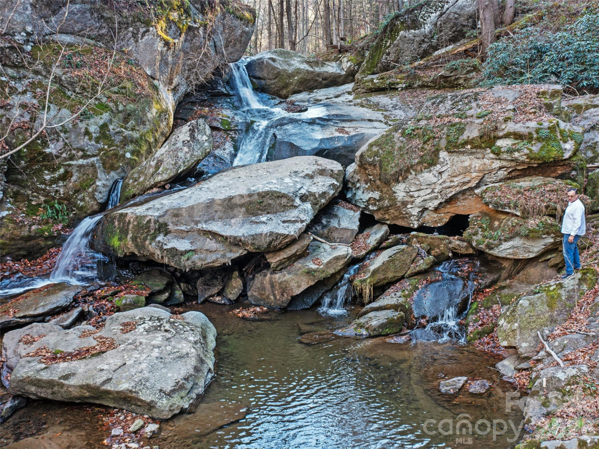 23 Katies Road #145.95 acres - Photo 2