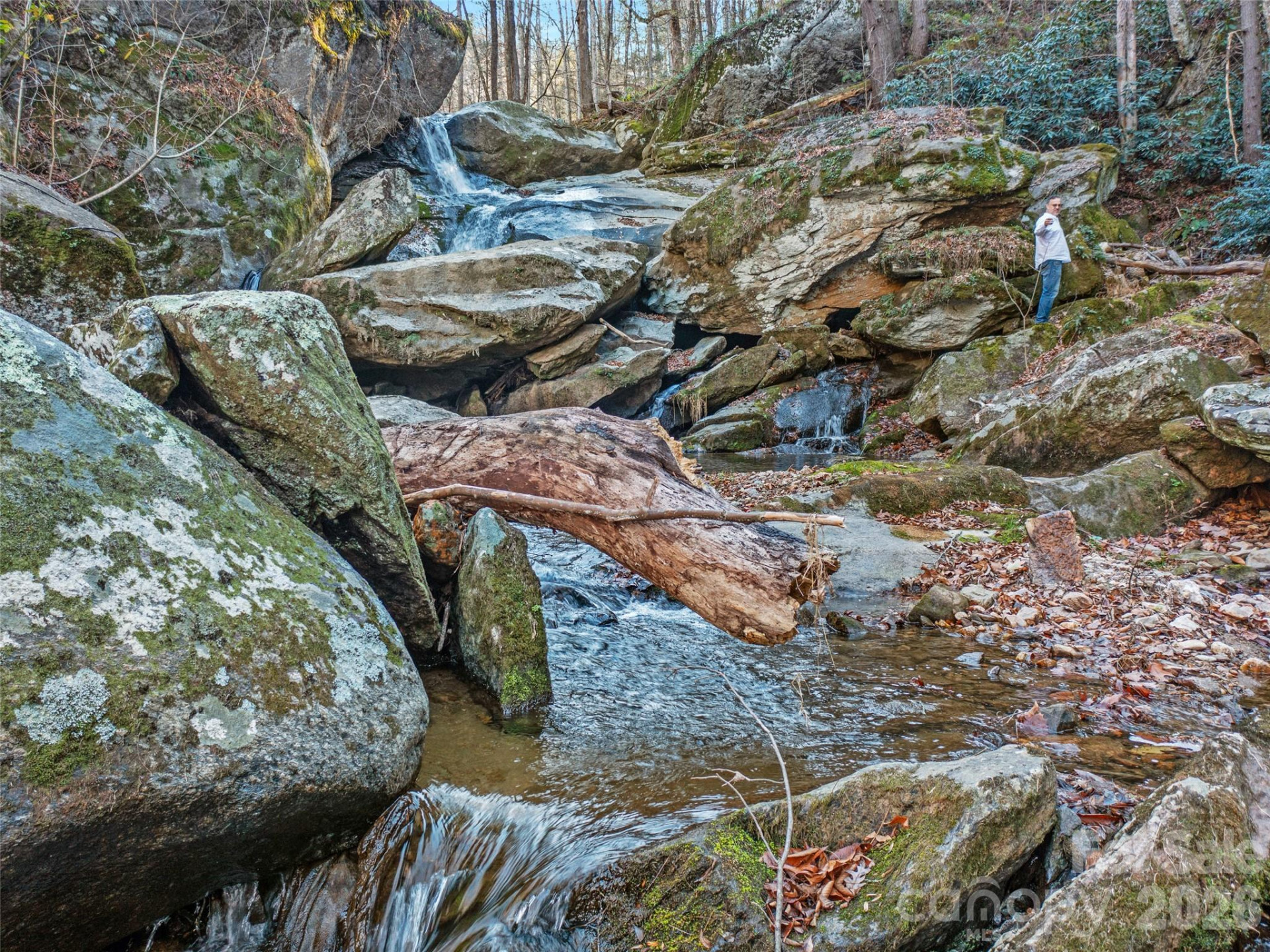 23 Katies Road #145.95 acres - Photo 4