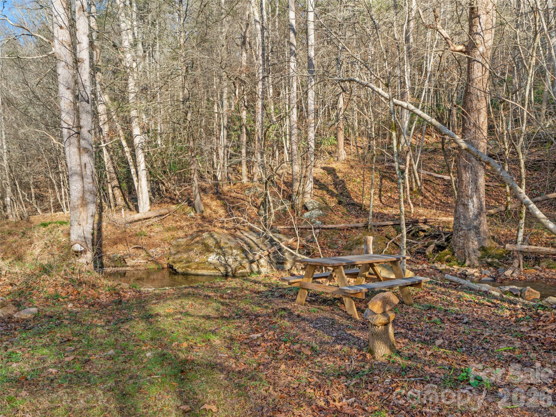 23 Katies Road #145.95 acres - Photo 33