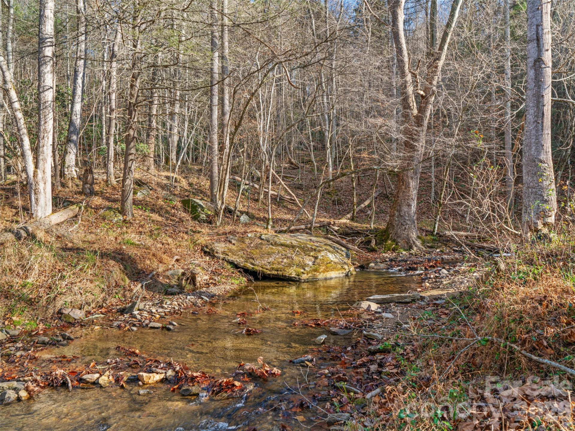 23 Katies Road #145.95 acres - Photo 34