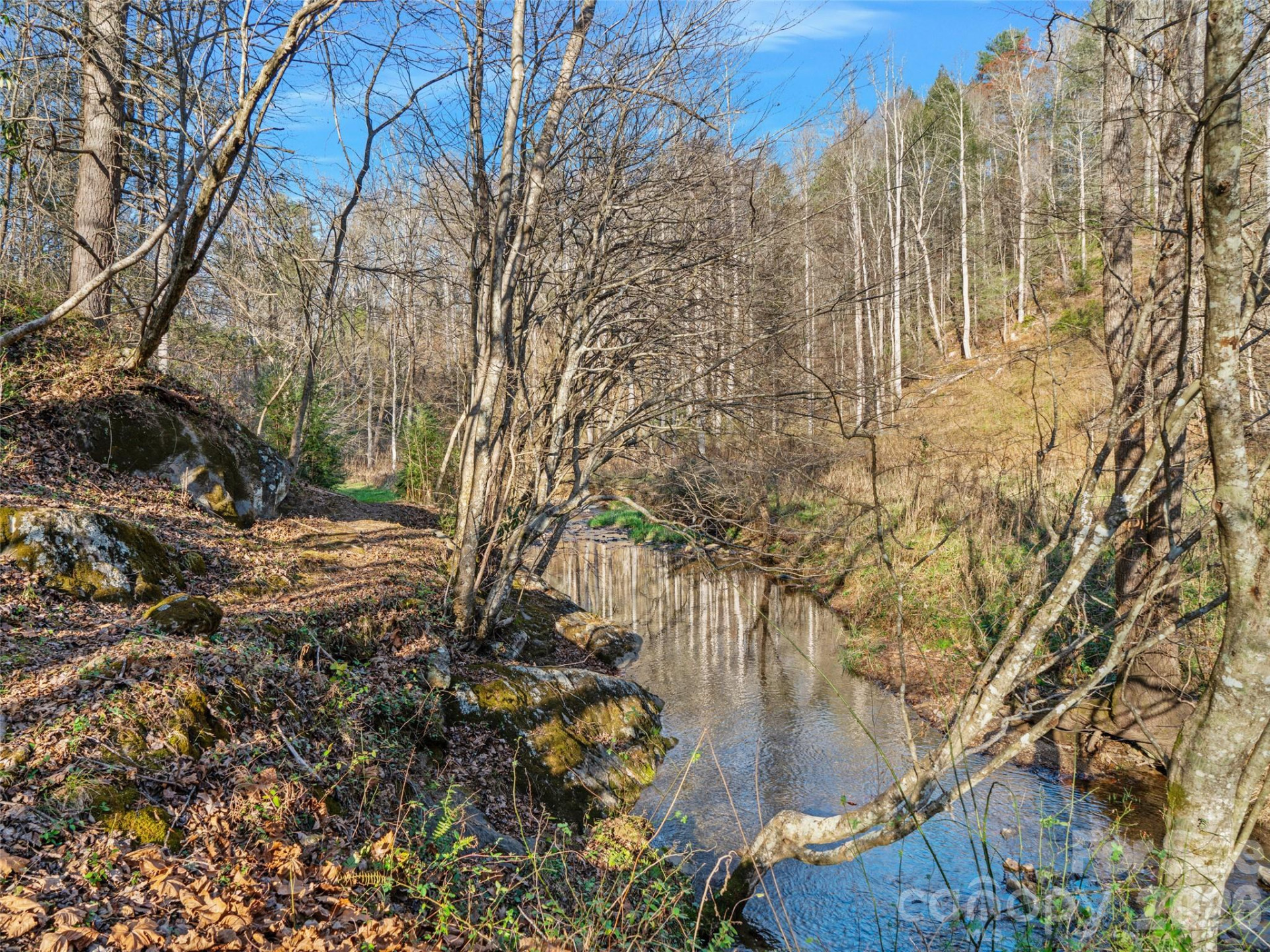 23 Katies Road #145.95 acres - Photo 36