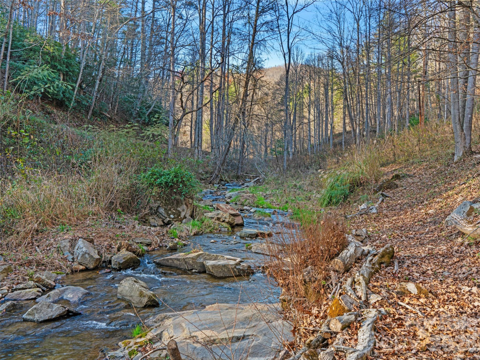 23 Katies Road #145.95 acres - Photo 40