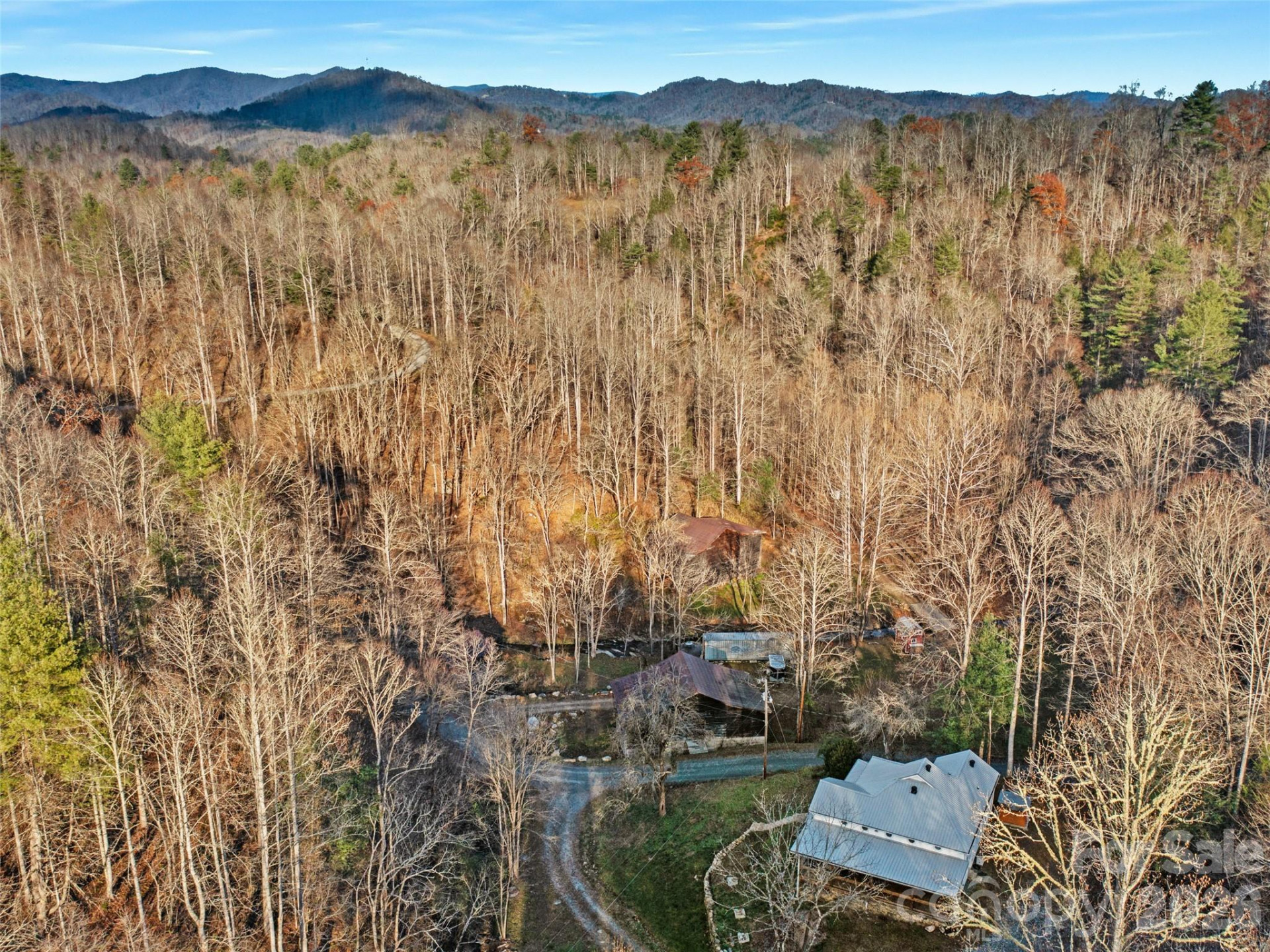 23 Katies Road #145.95 acres - Photo 41