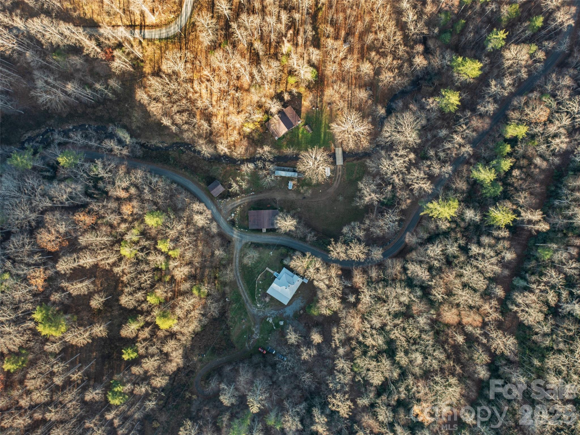 23 Katies Road #145.95 acres - Photo 42