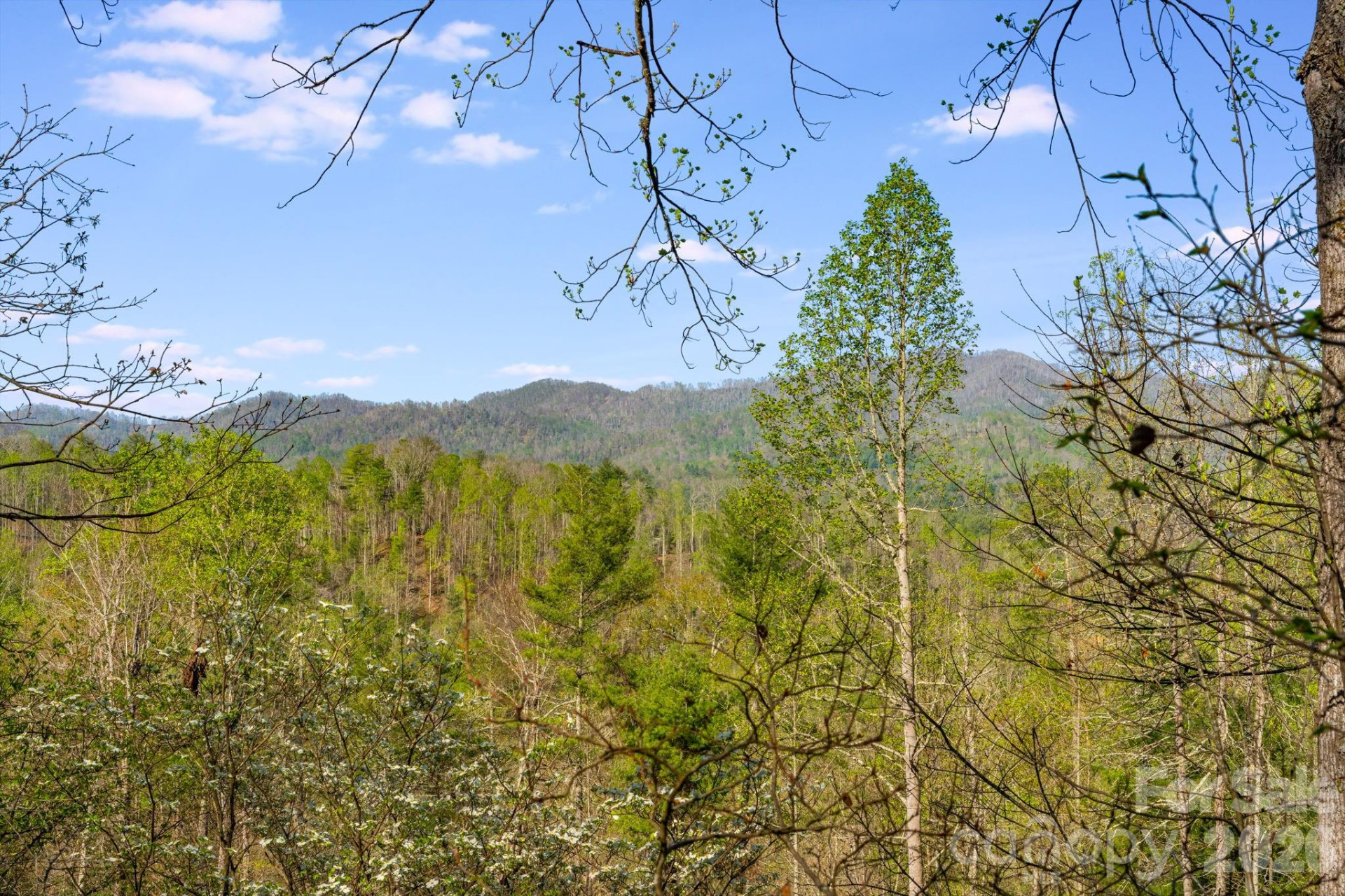 770 Echo Hill Drive - Photo 5