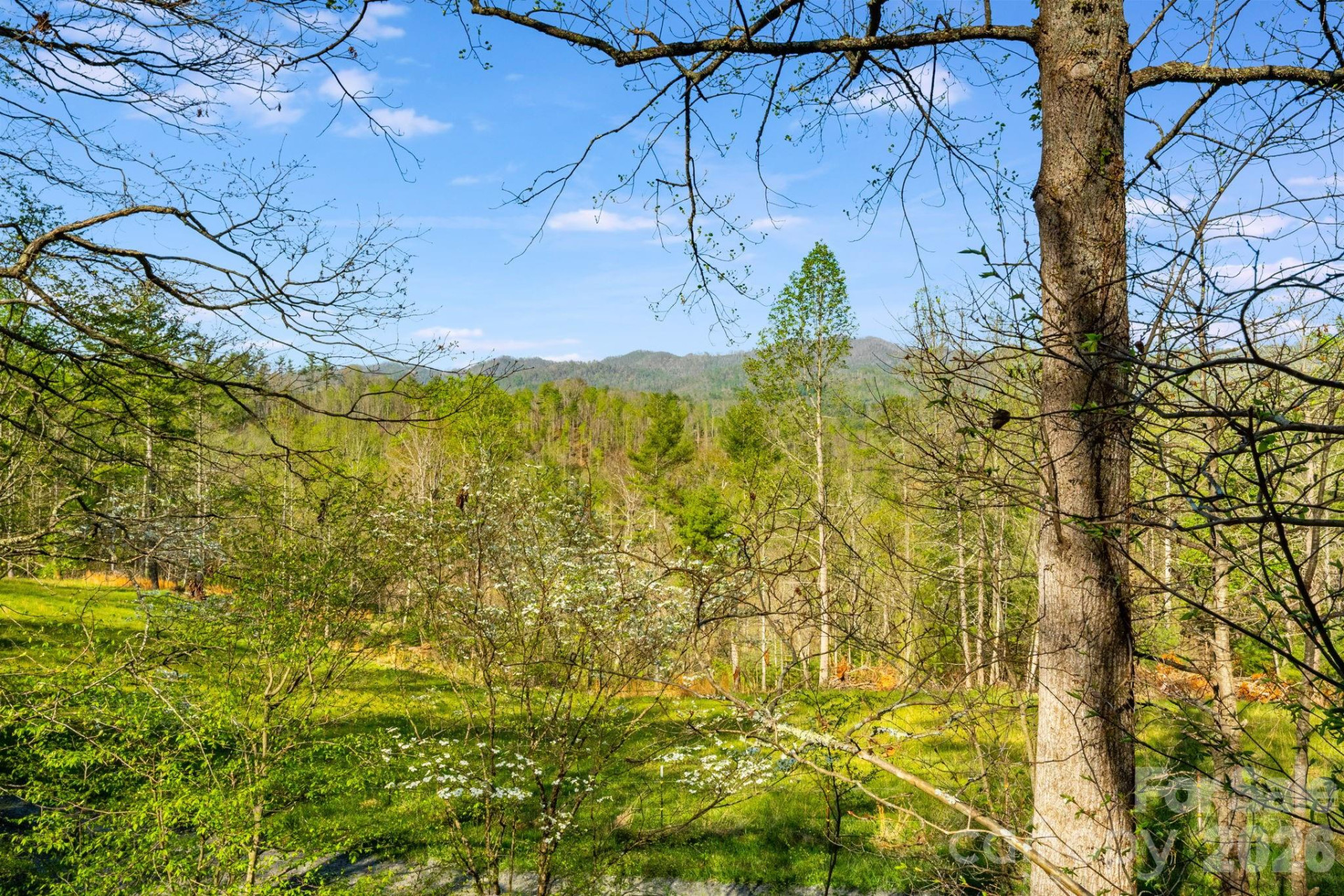 770 Echo Hill Drive - Photo 6