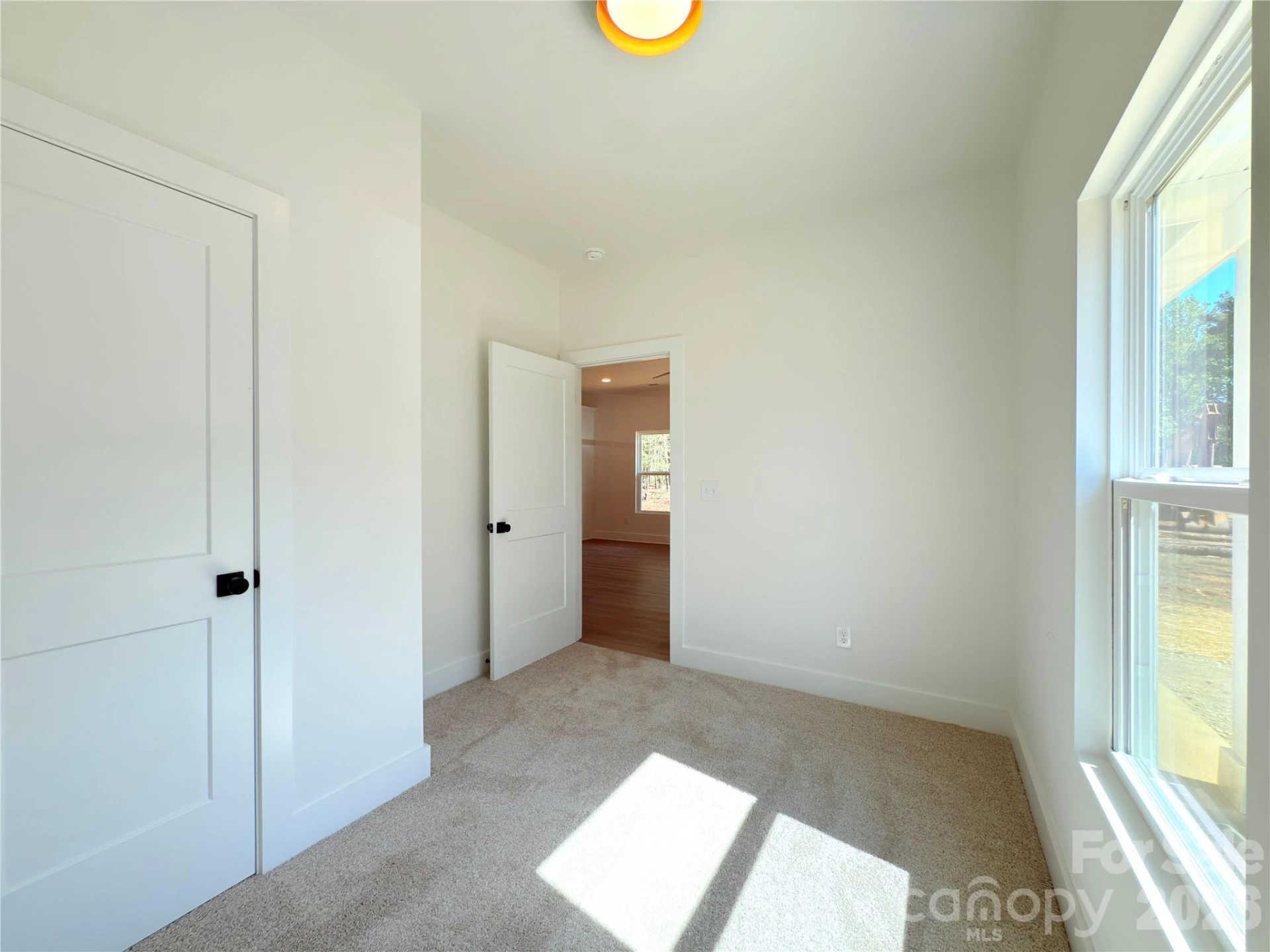 221 Carlie Street - Photo 15