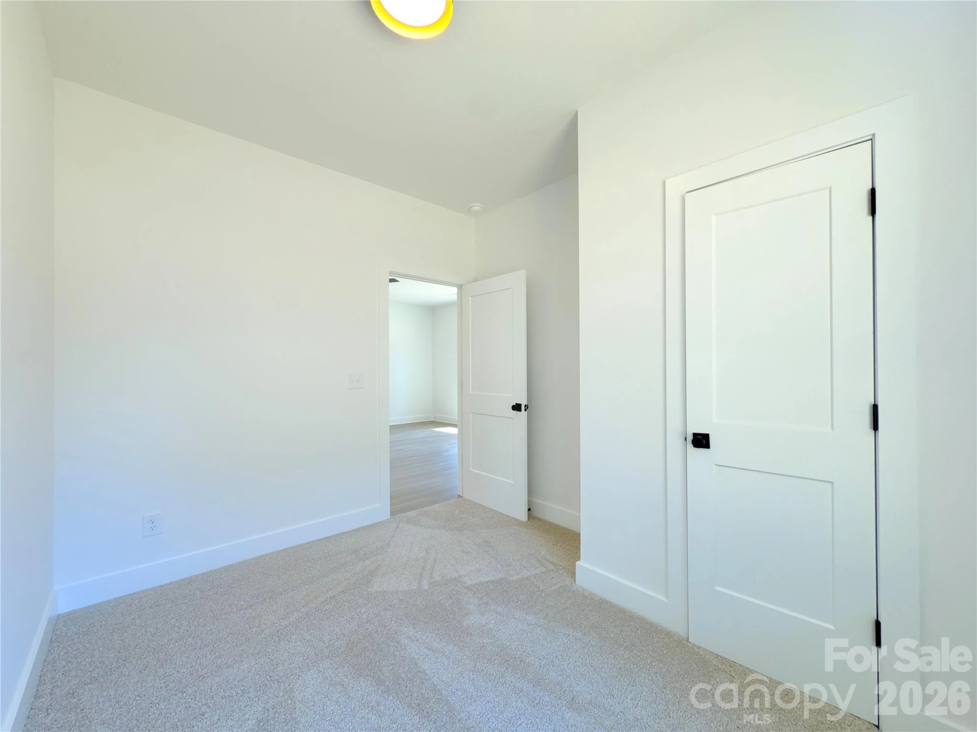 221 Carlie Street - Photo 18