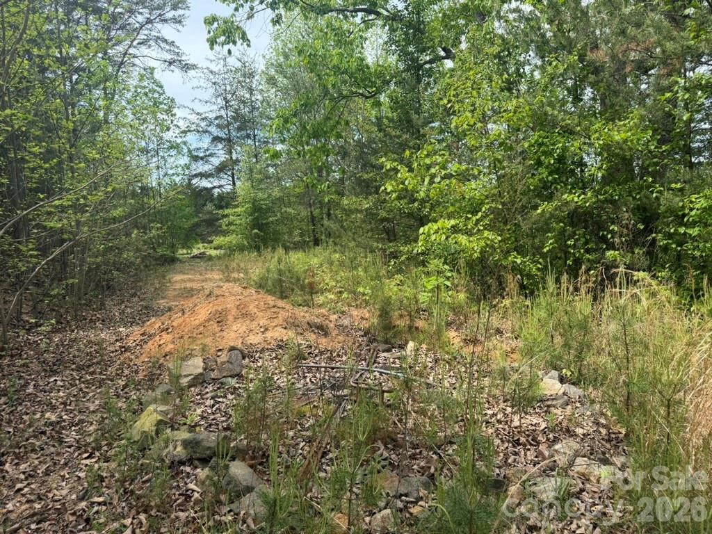 5920 Overland Drive - Photo 15