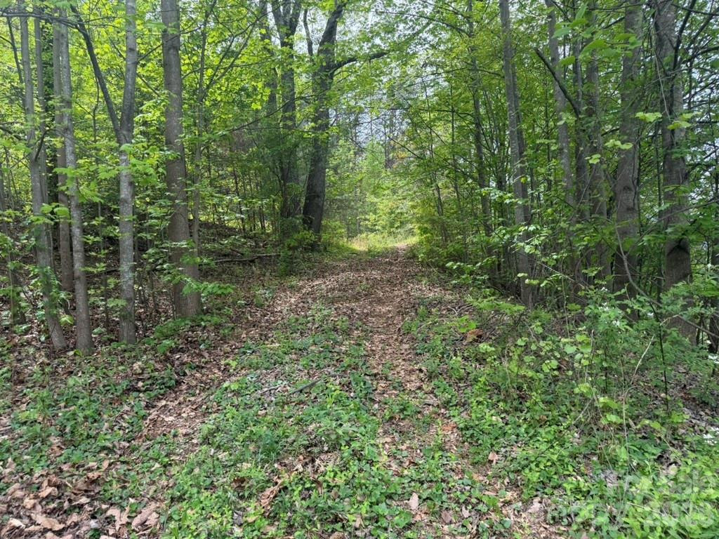 5920 Overland Drive - Photo 24