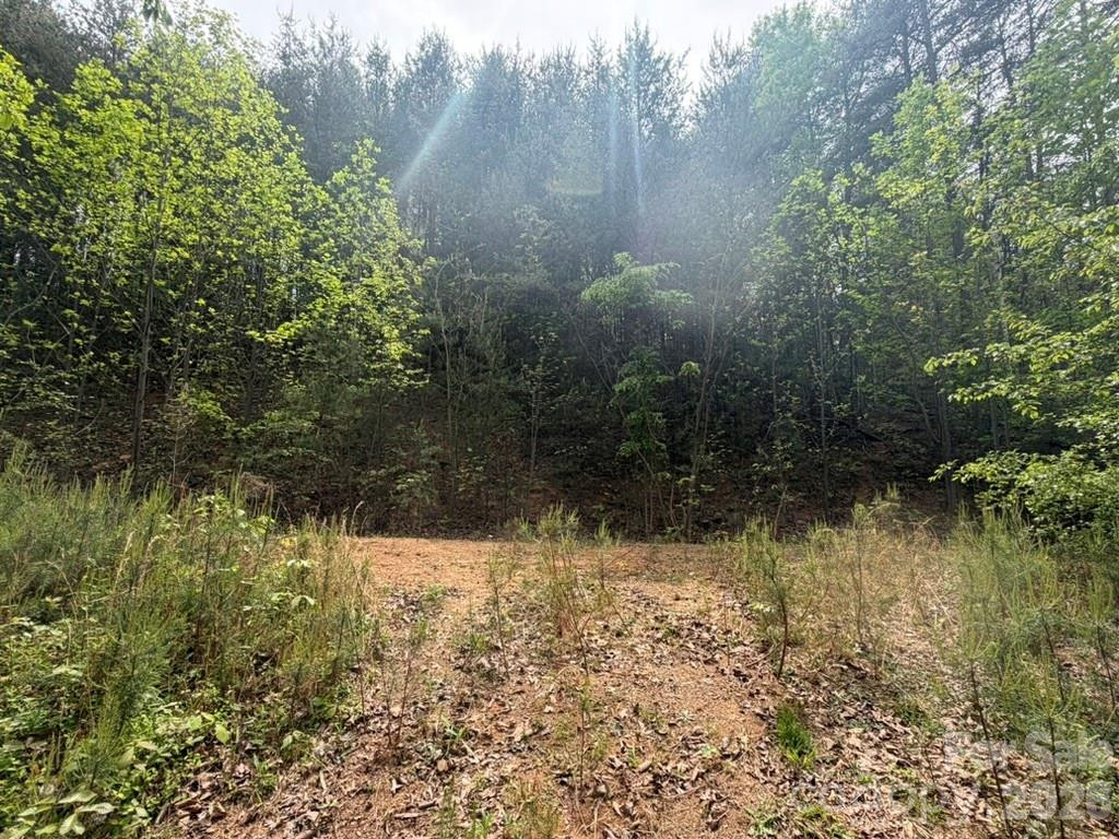 5920 Overland Drive - Photo 7