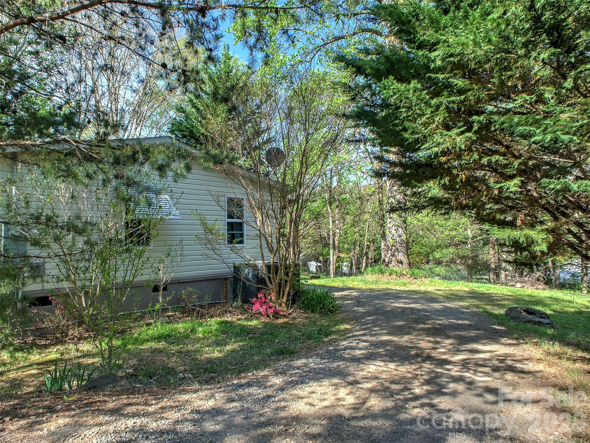 11 Rector Road - Photo 11