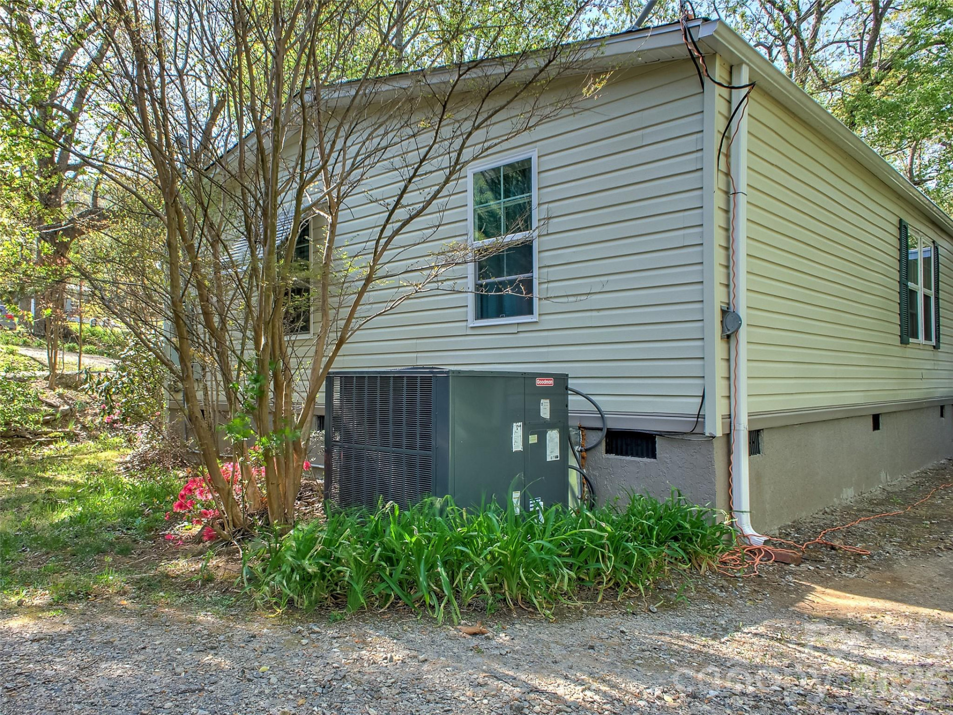 11 Rector Road - Photo 12