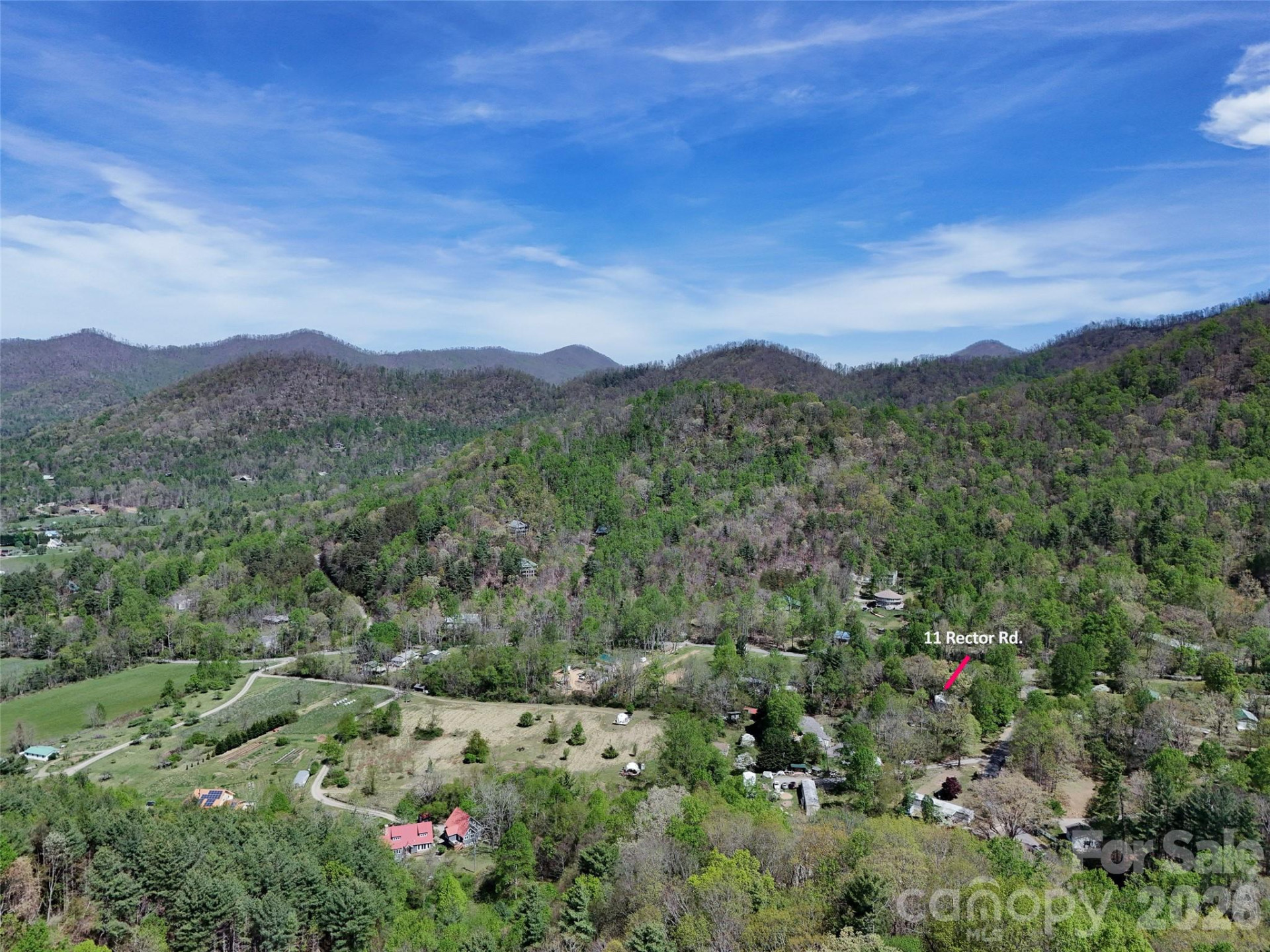 11 Rector Road - Photo 5