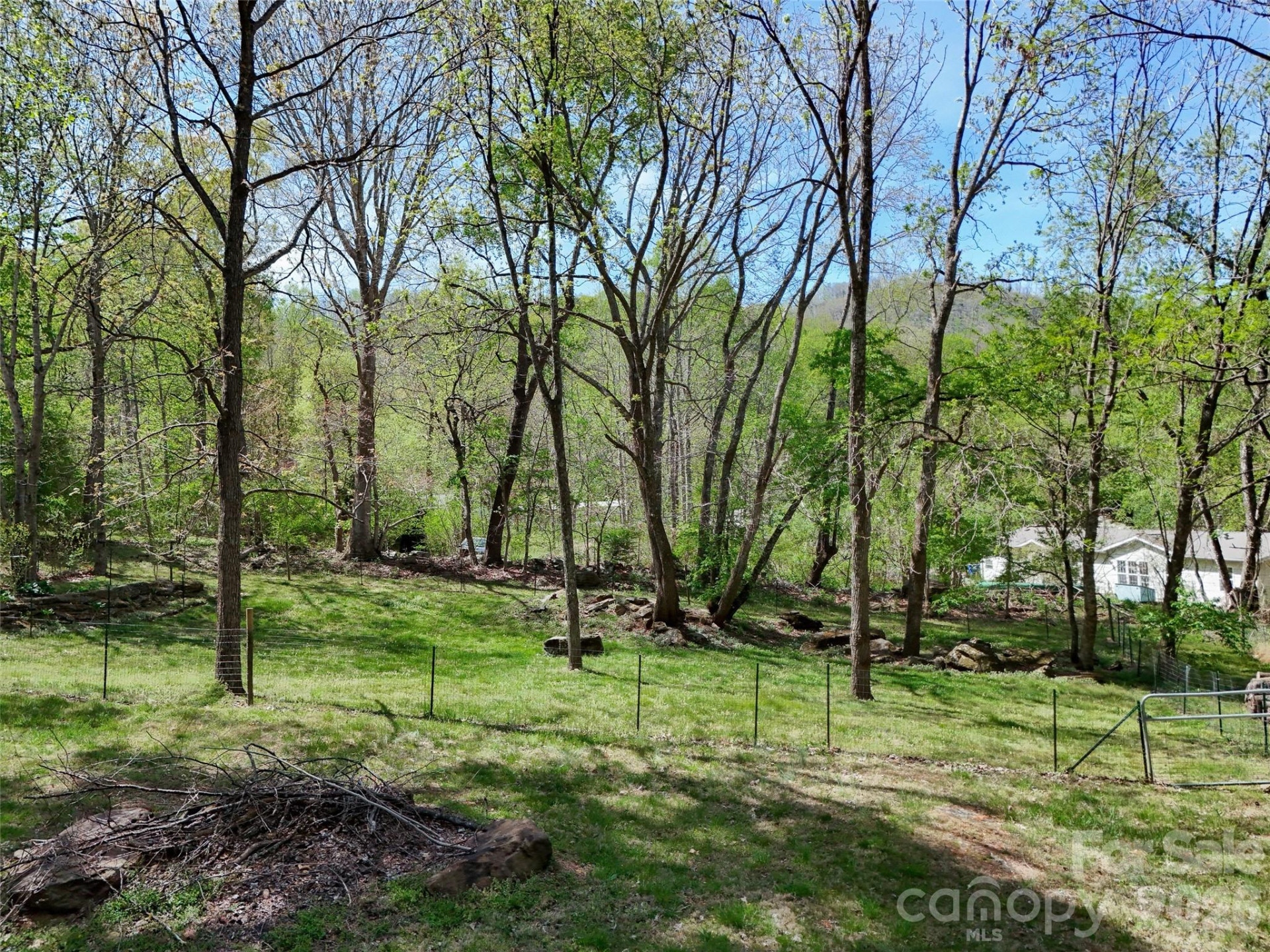 11 Rector Road - Photo 8