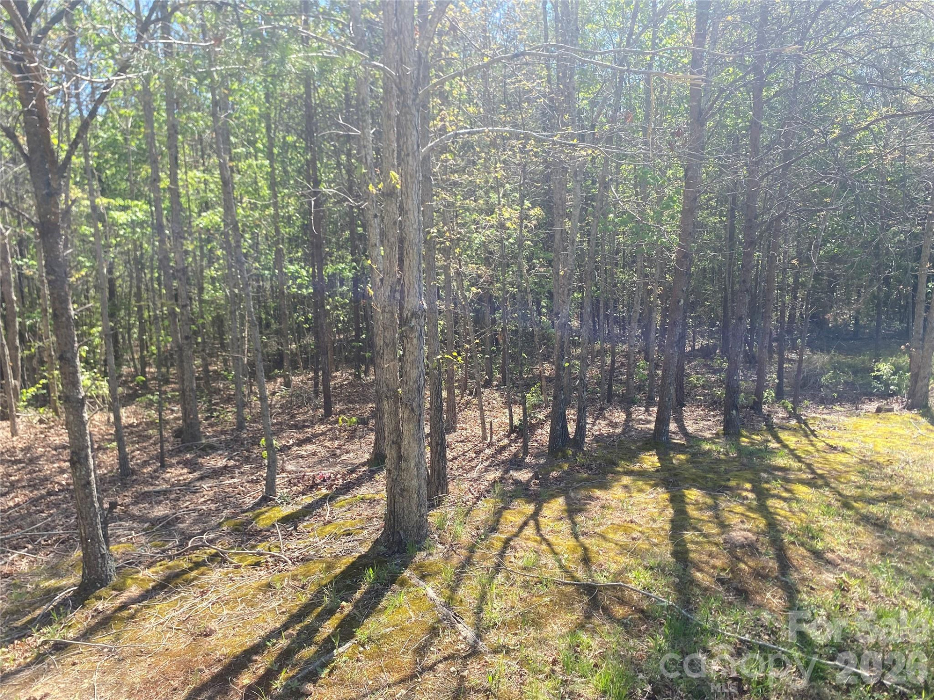 4209 Bennett Road - Photo 3