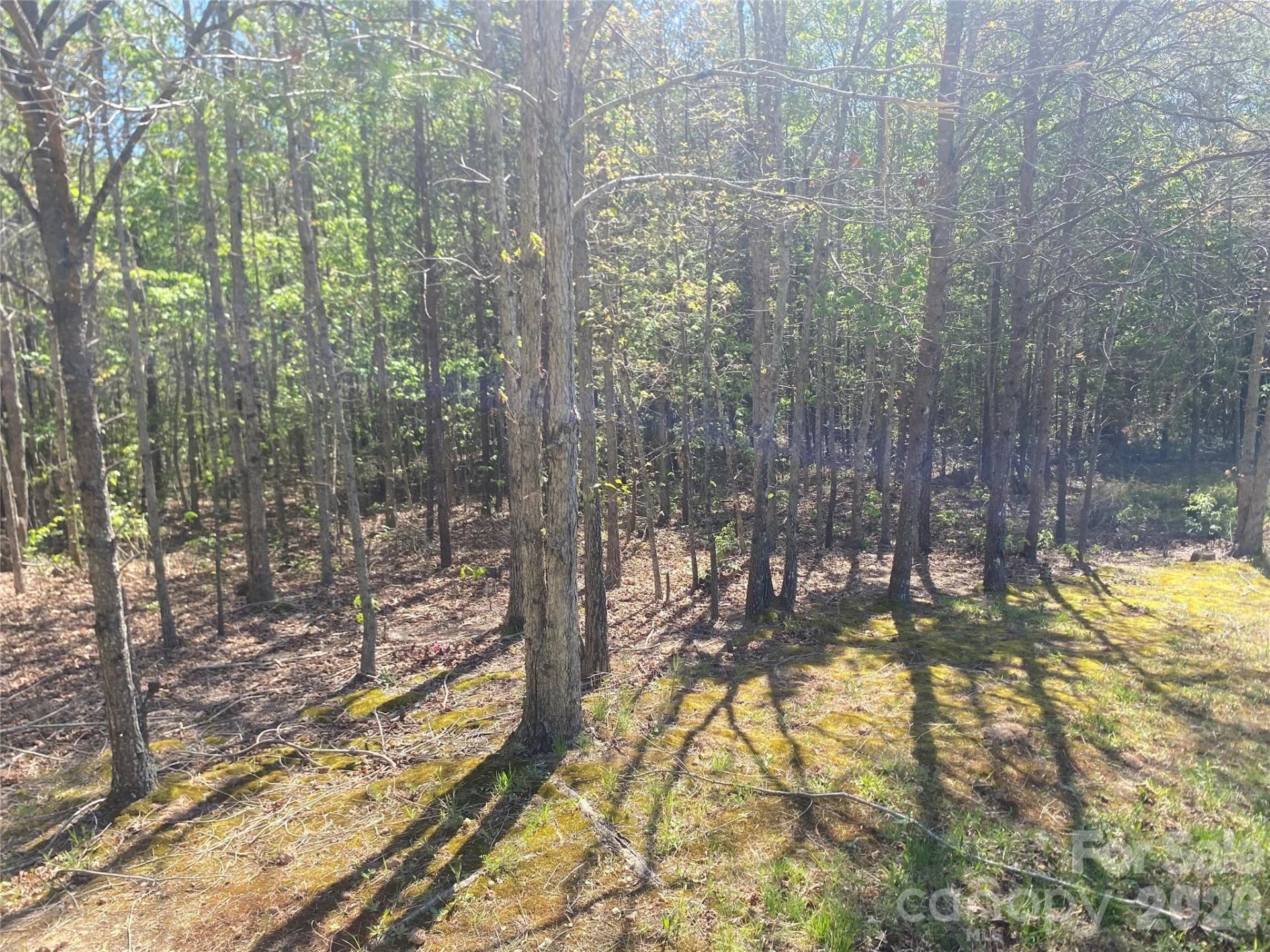 4209 Bennett Road - Photo 3