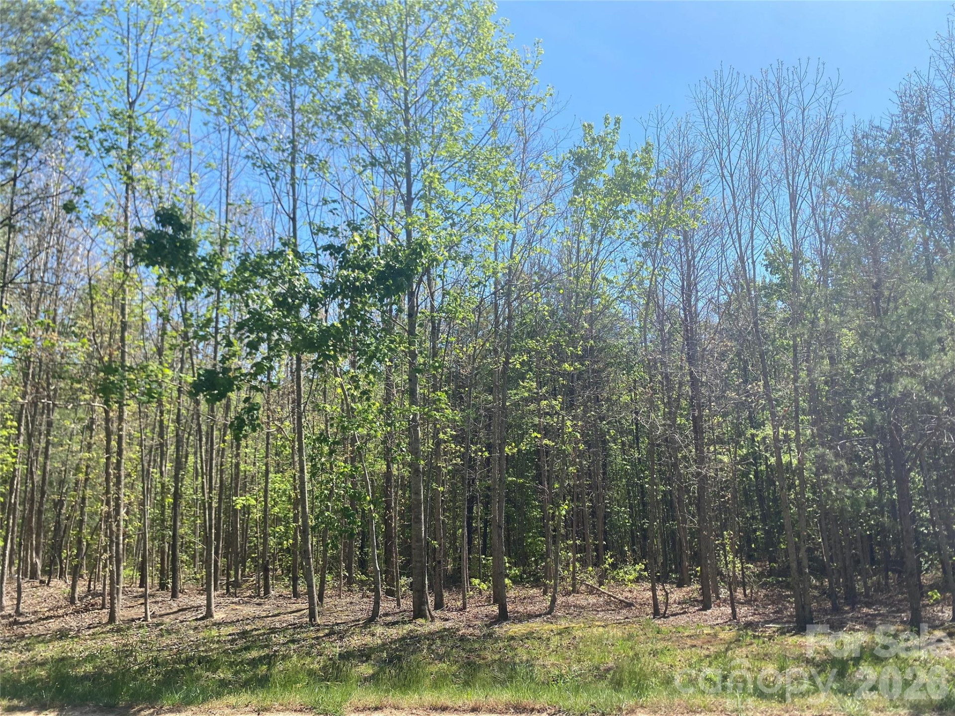 4209 Bennett Road - Photo 4