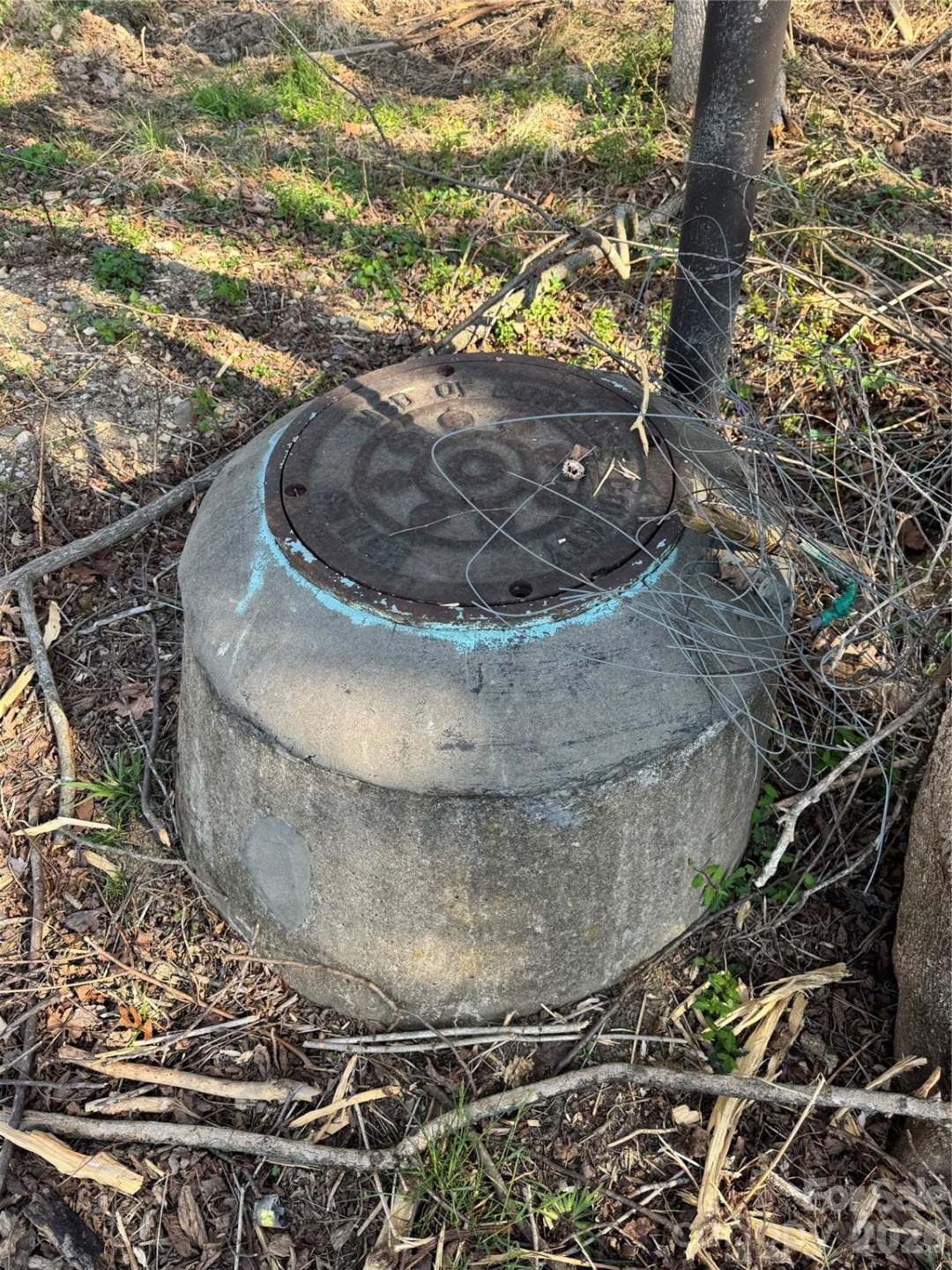 65 Mills Gap Road - Photo 5