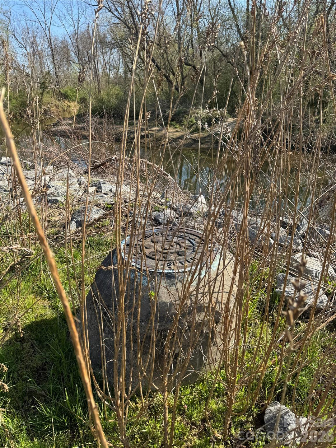 65 Mills Gap Road - Photo 6