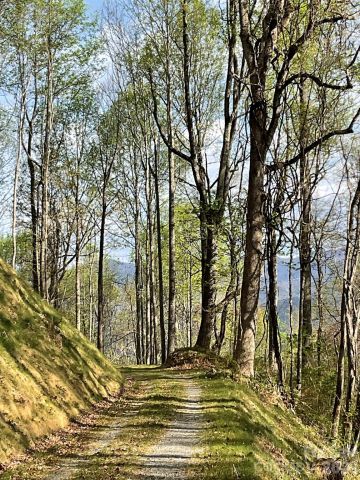 1414 Easy Wind Drive, Swannanoa, NC, 28778