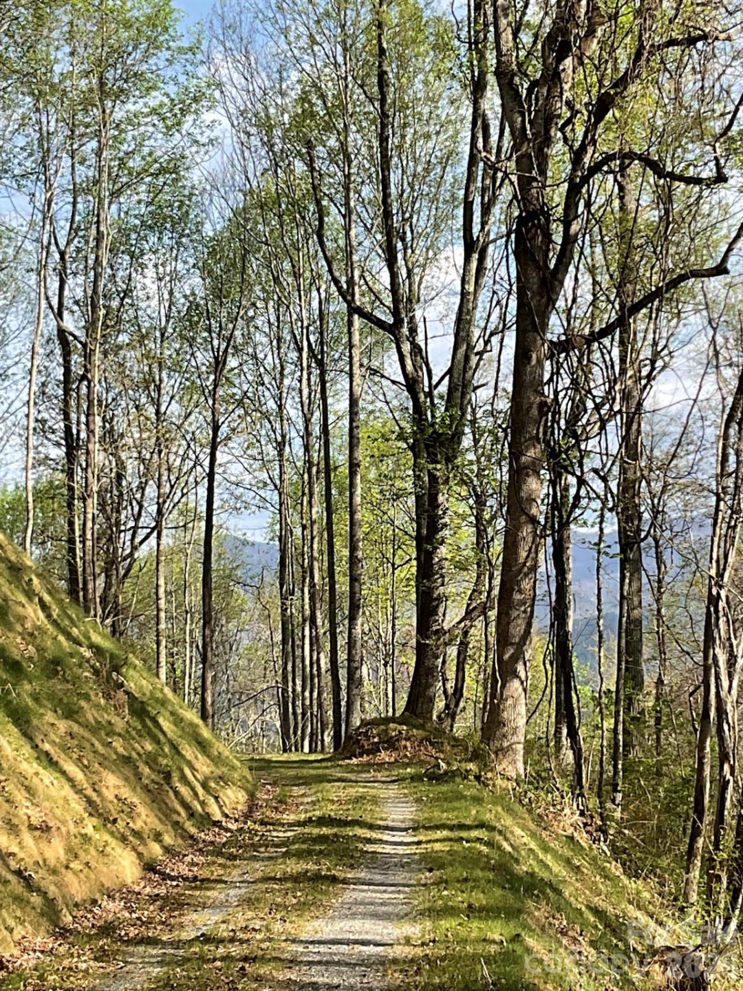 1414 Easy Wind Drive #56