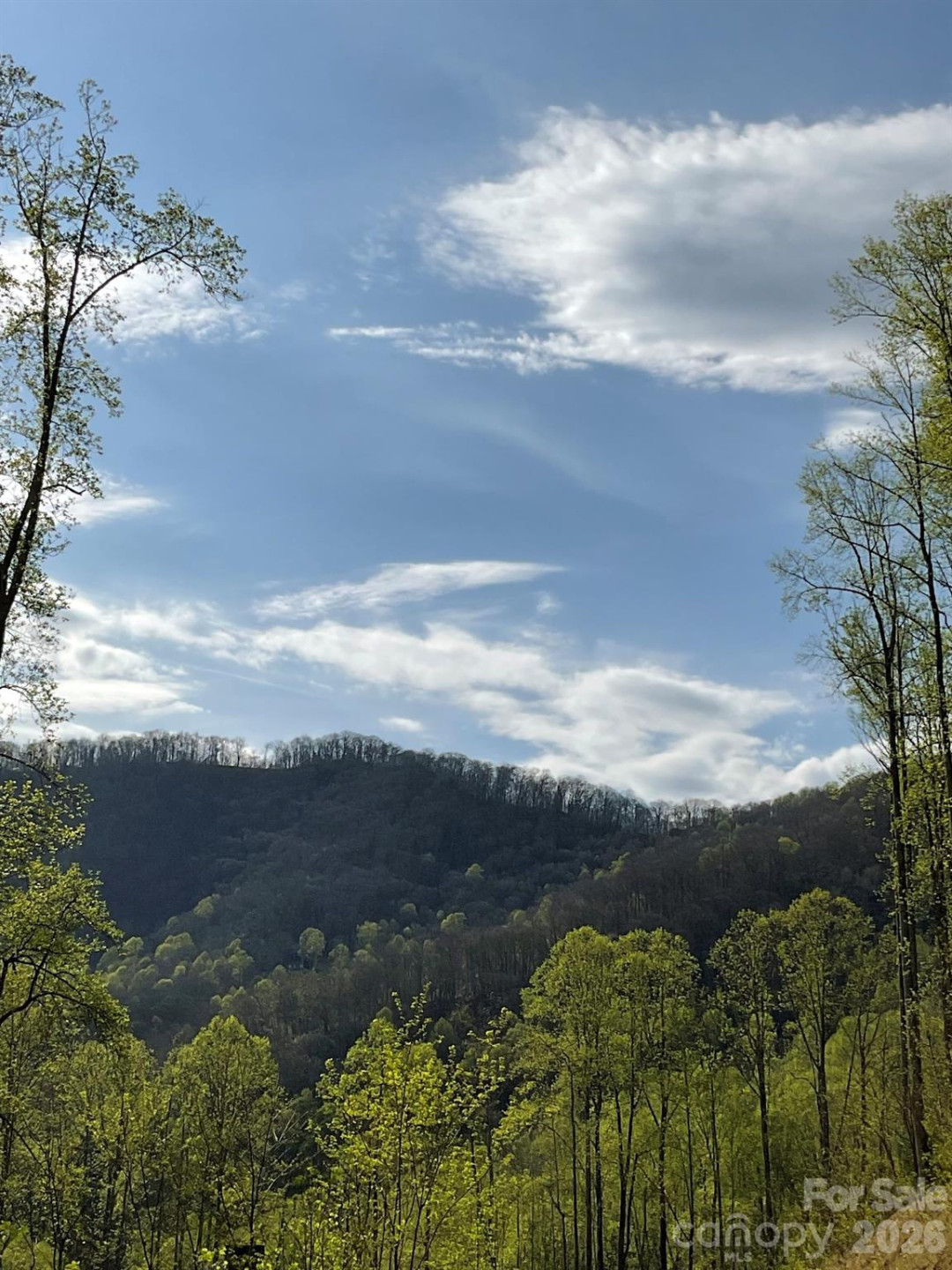 1414 Easy Wind Drive #56 - Photo 11